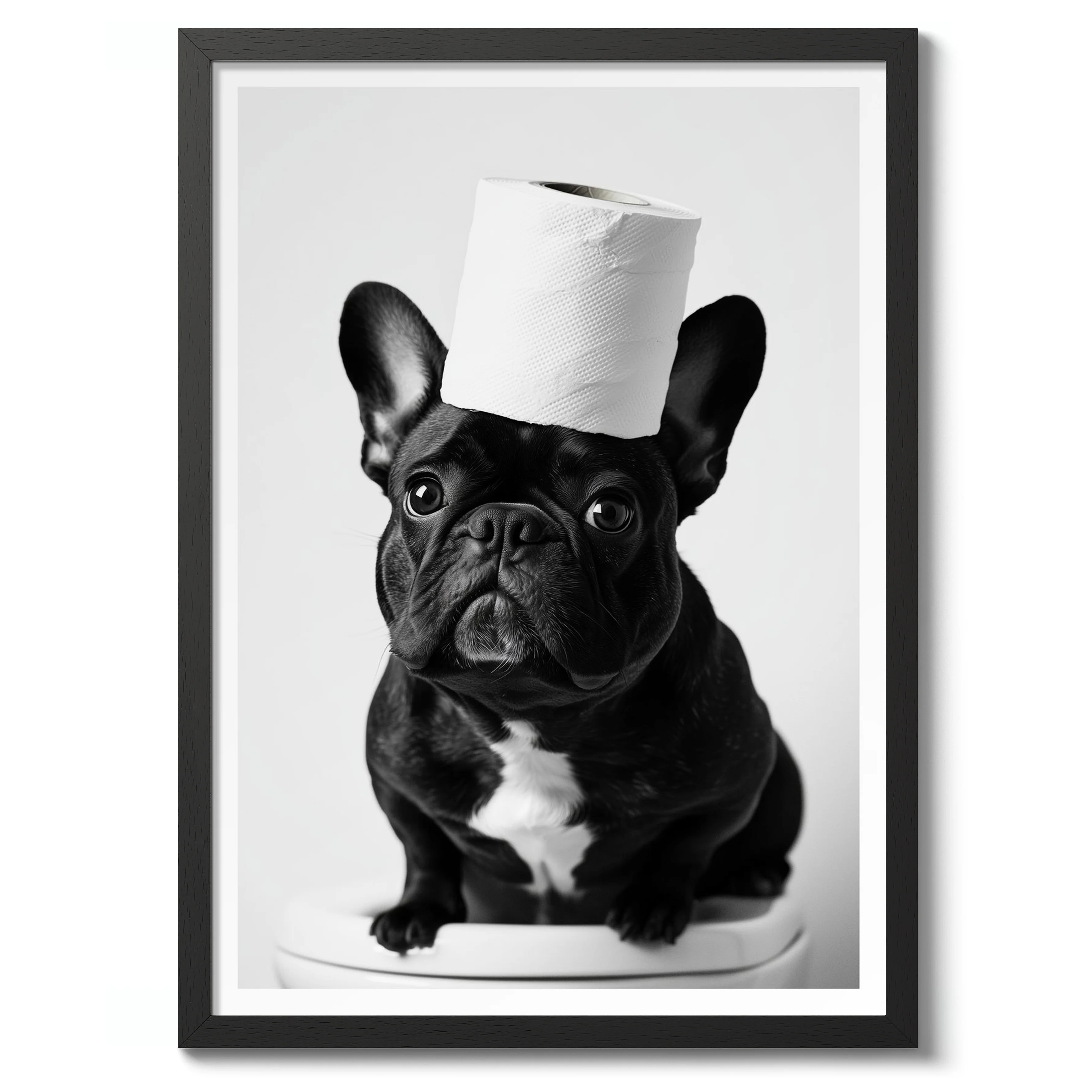 Haute Dog Couture - Image 2