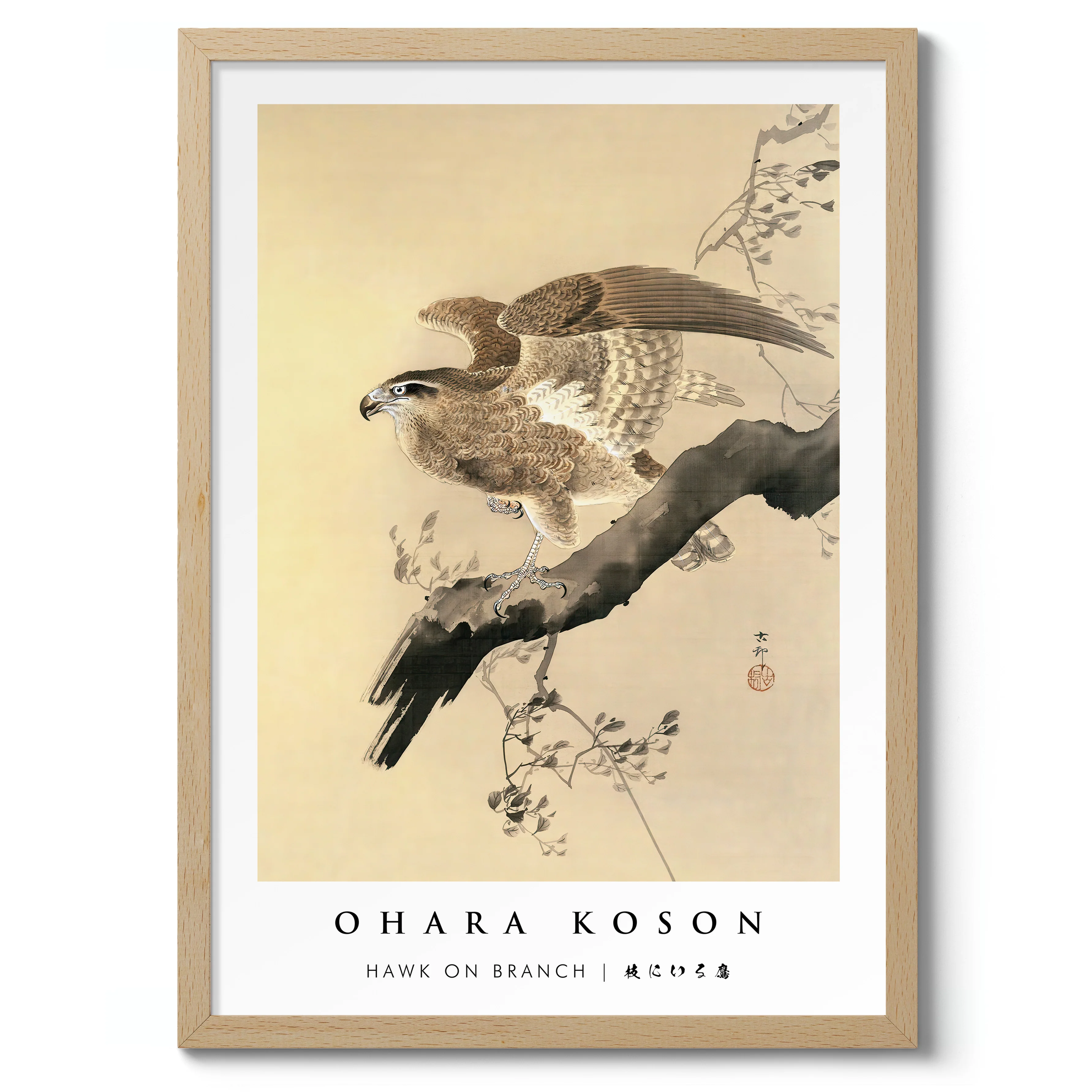 Hawk on Branch - Image 3