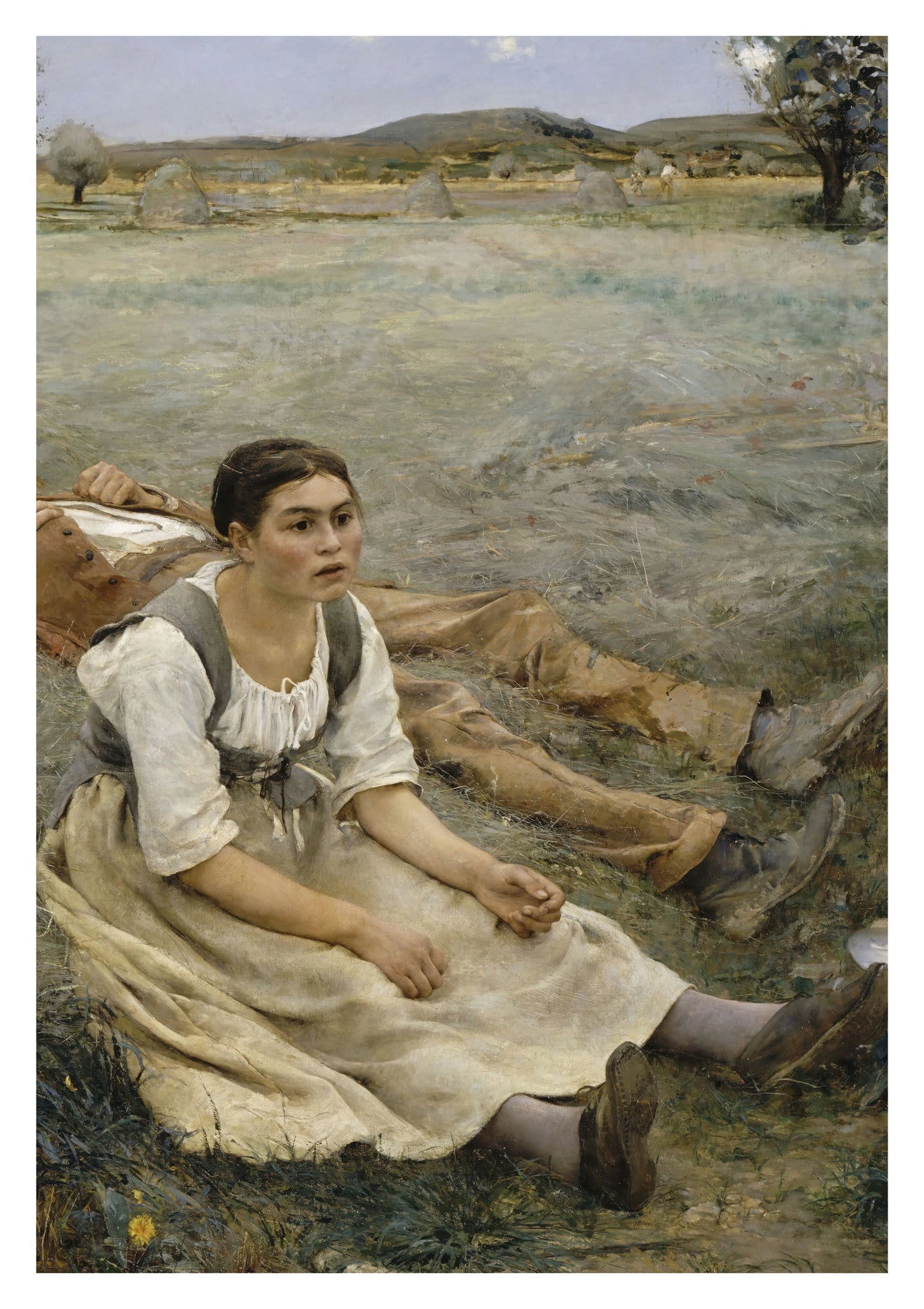 Hay Making
