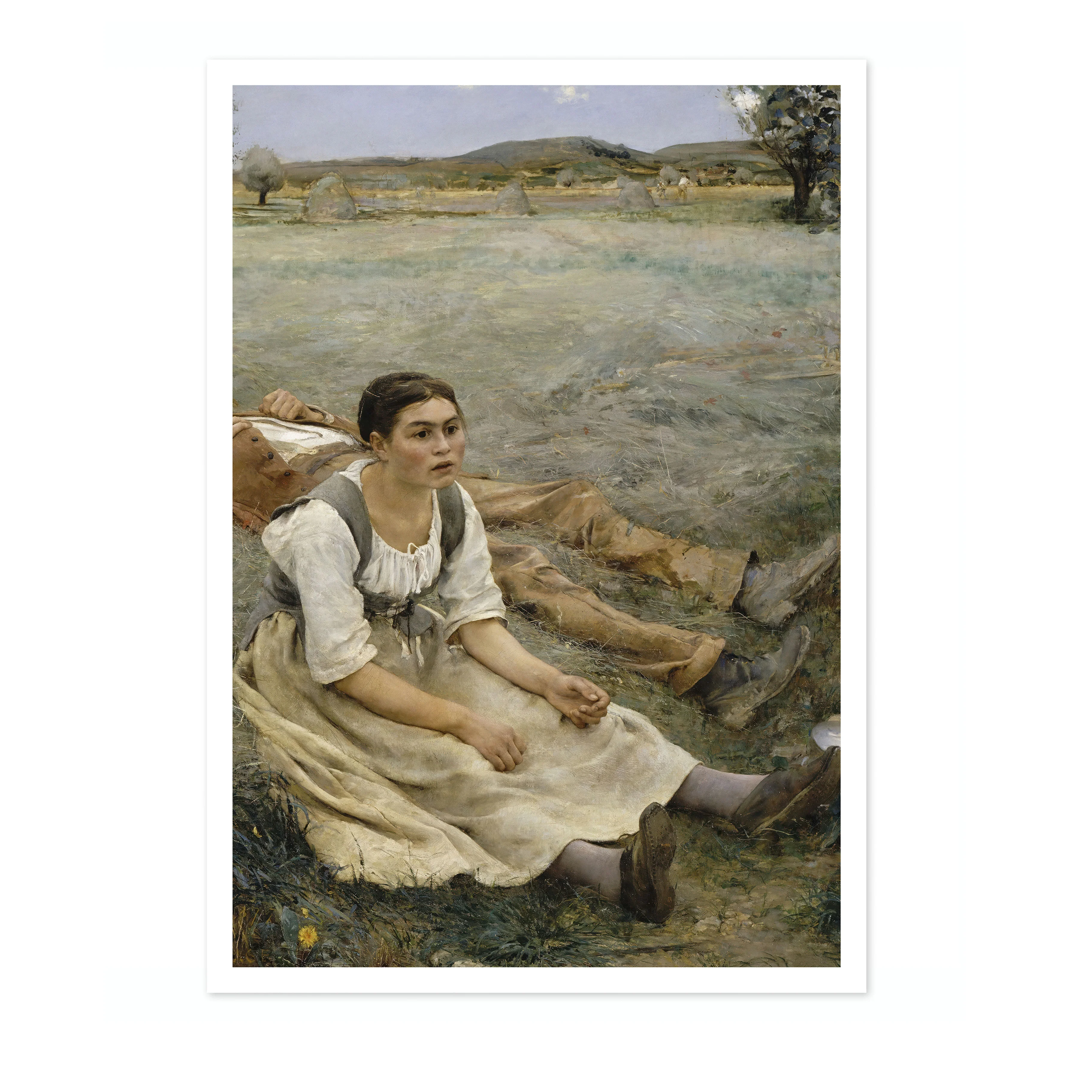 Hay Making - Image 4