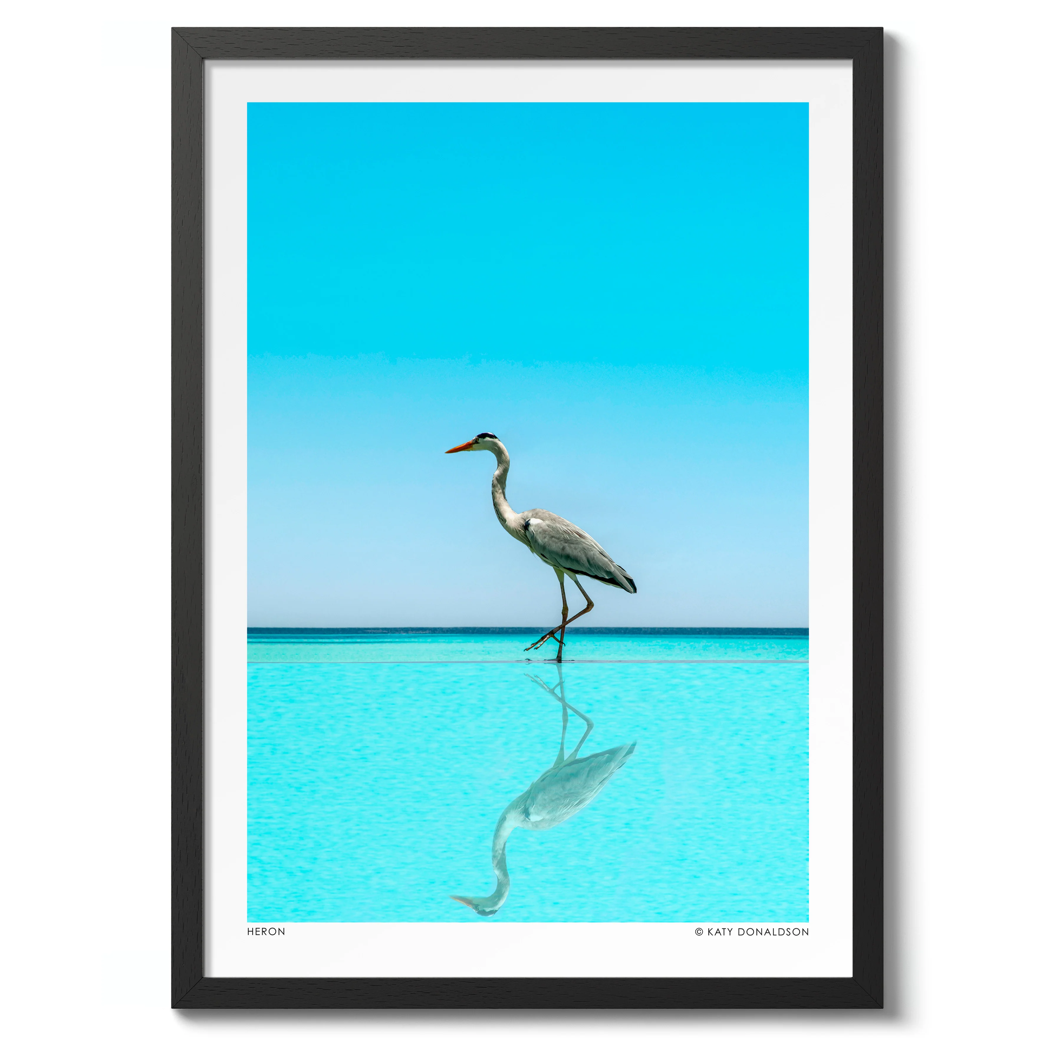 Heron - Image 2