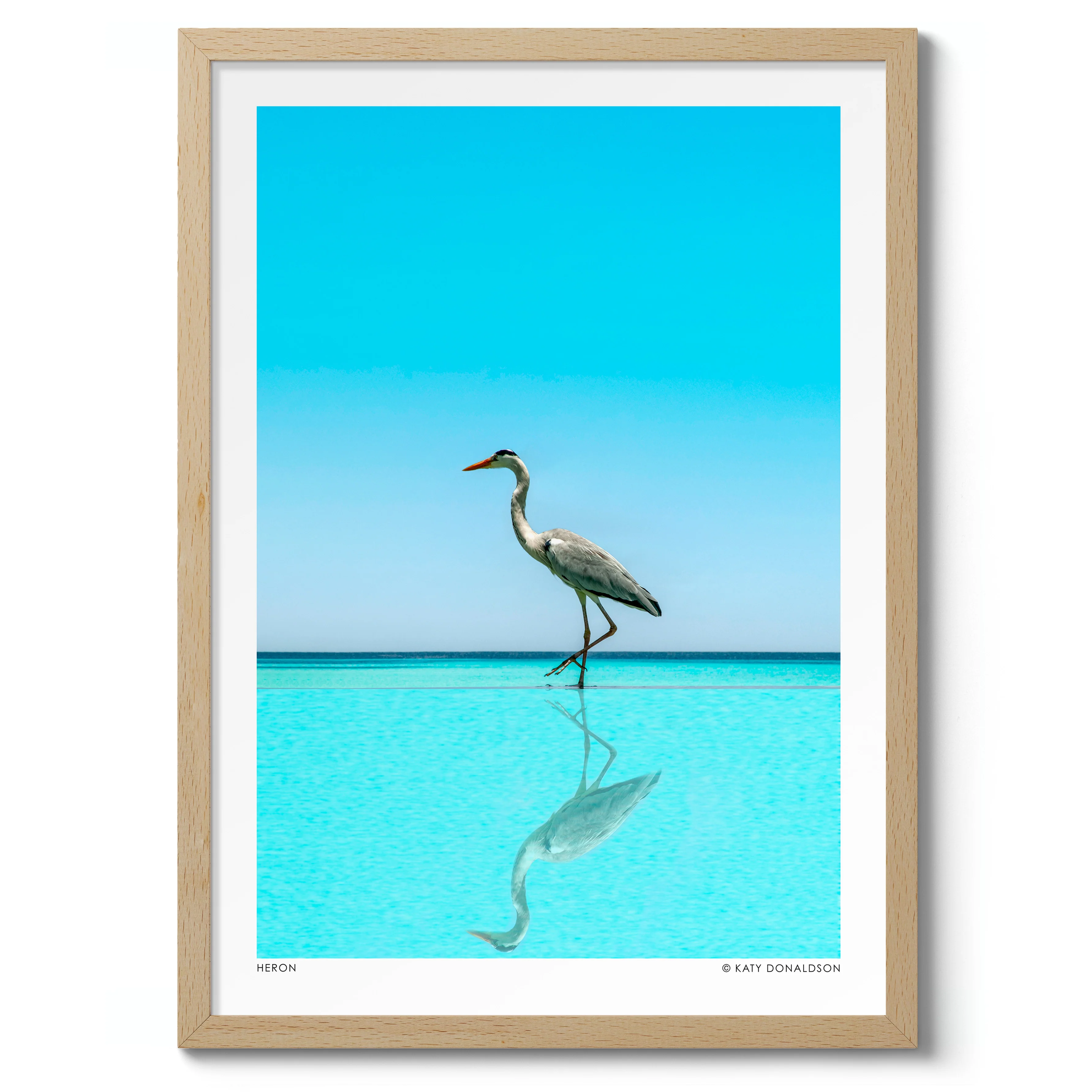 Heron - Image 3