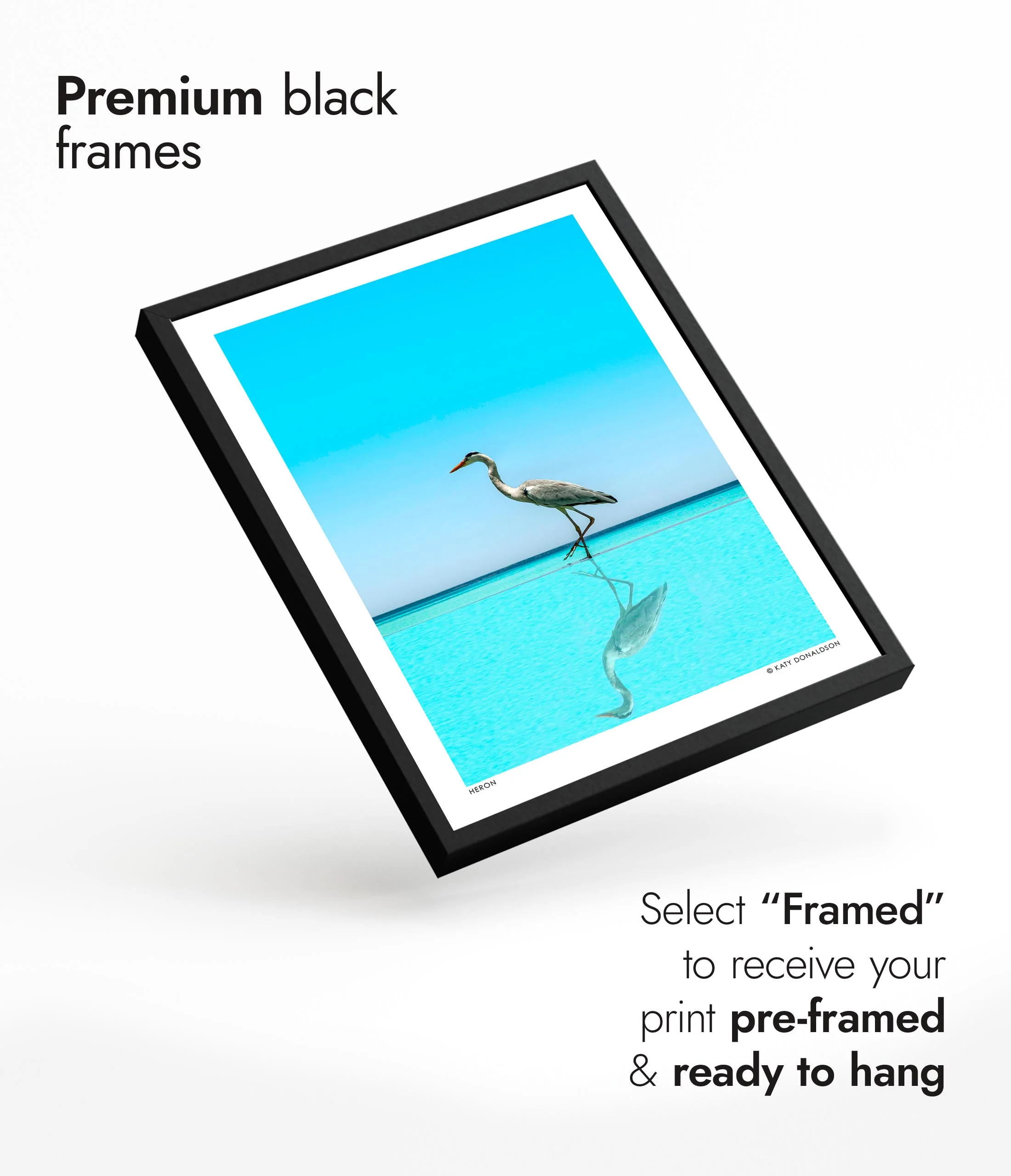 Heron - Image 7