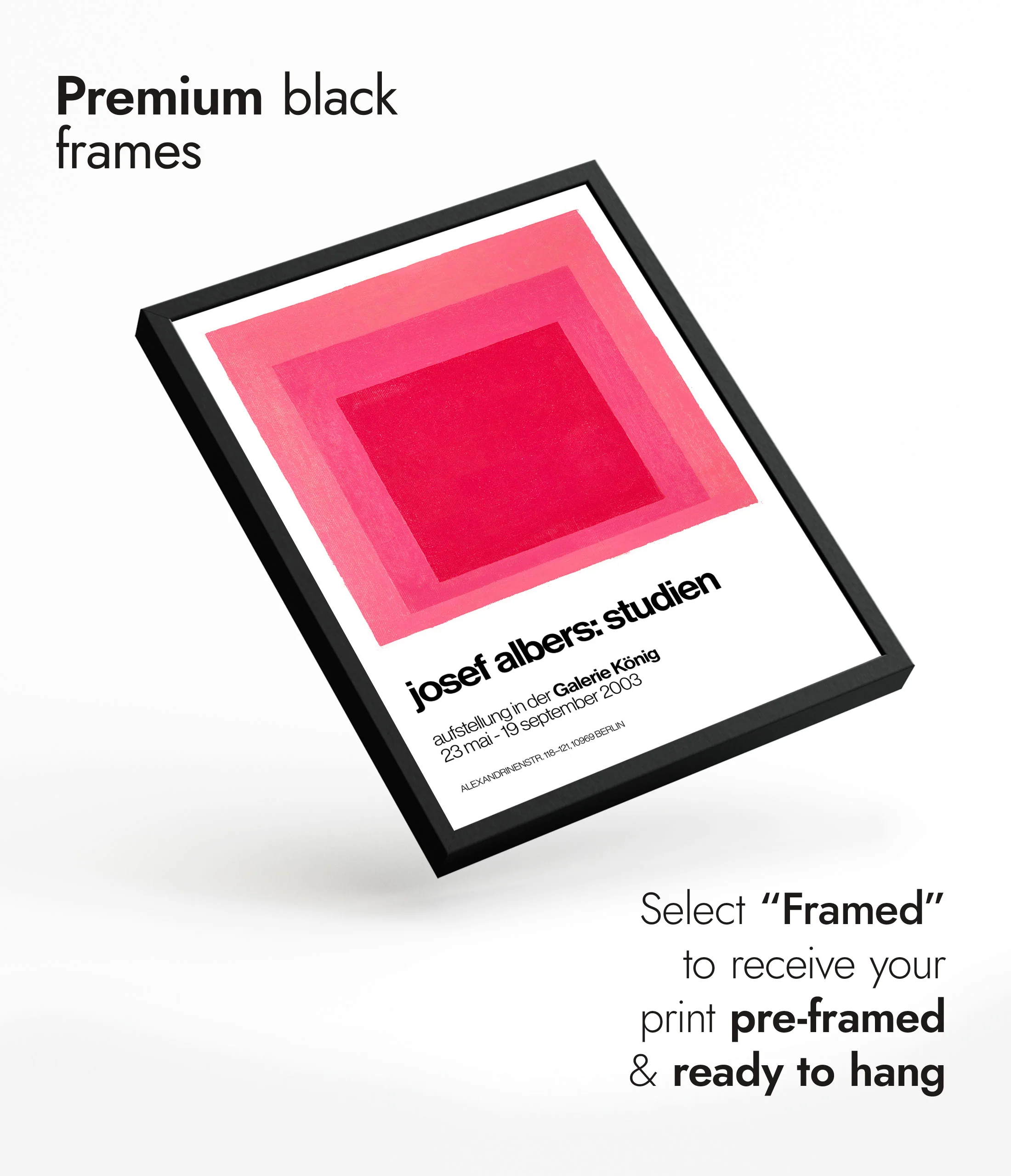 Homage to the Square Pink - Image 7
