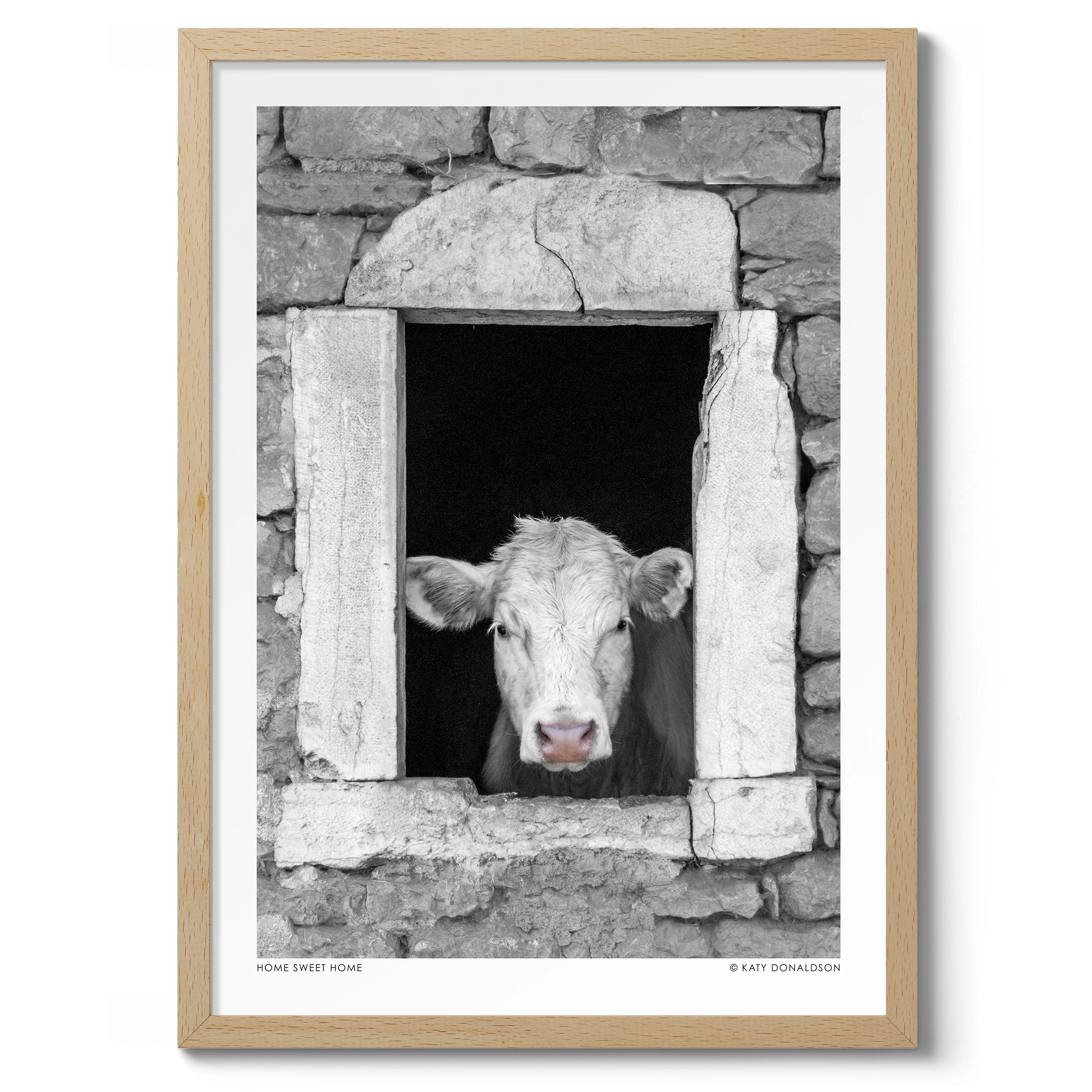Home Sweet Home - Image 3