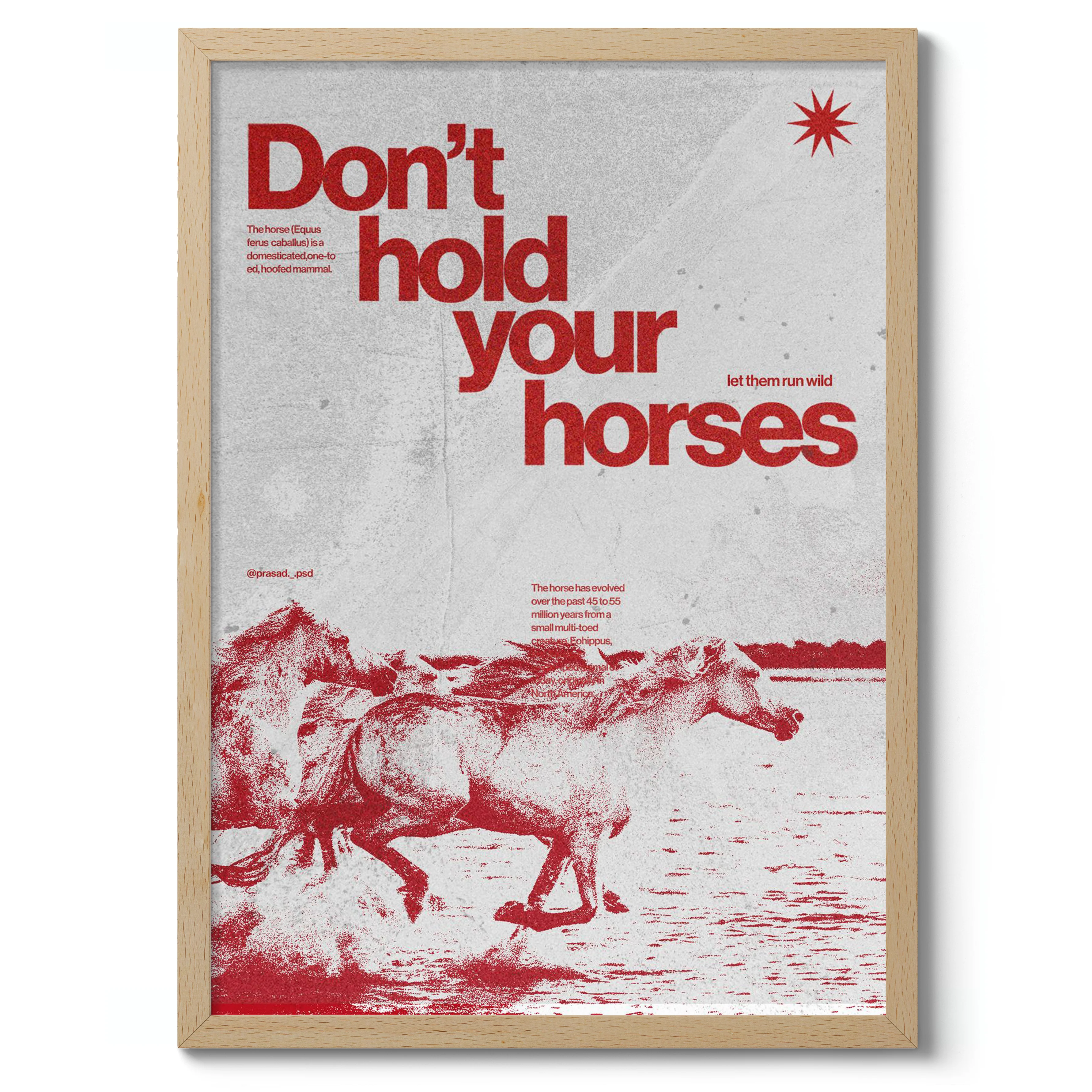 Horses - Image 3