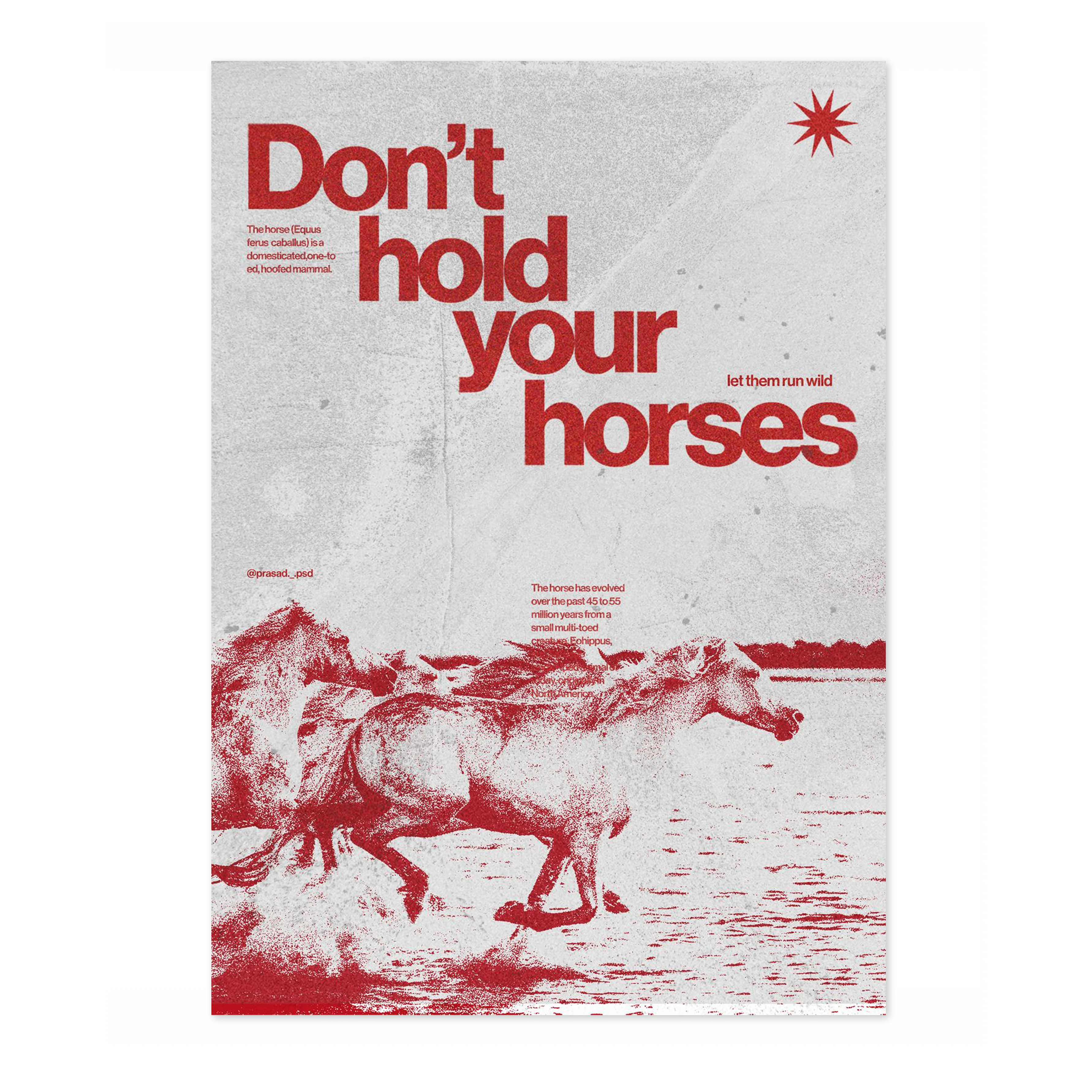 Horses - Image 4