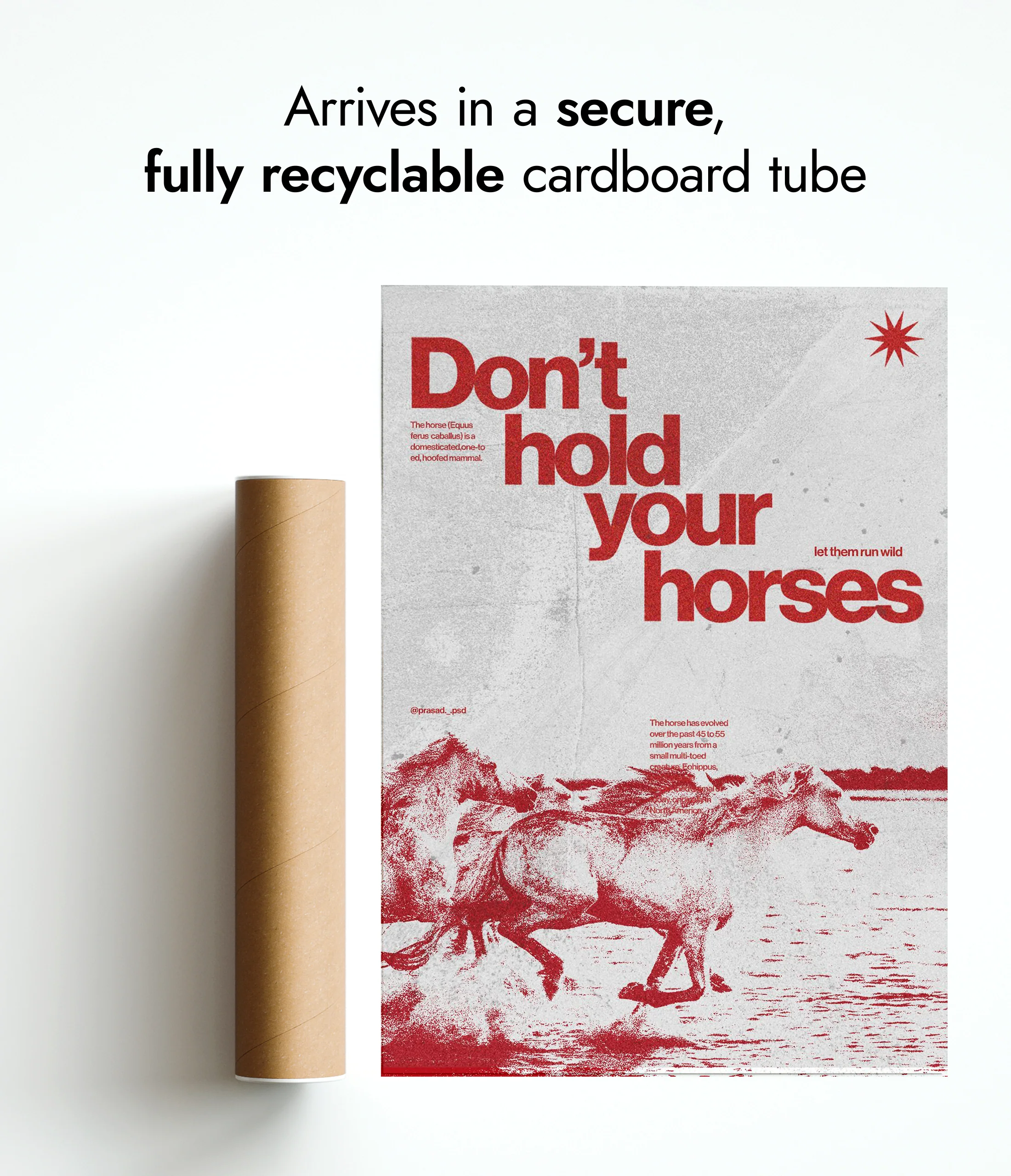 Horses - Image 9