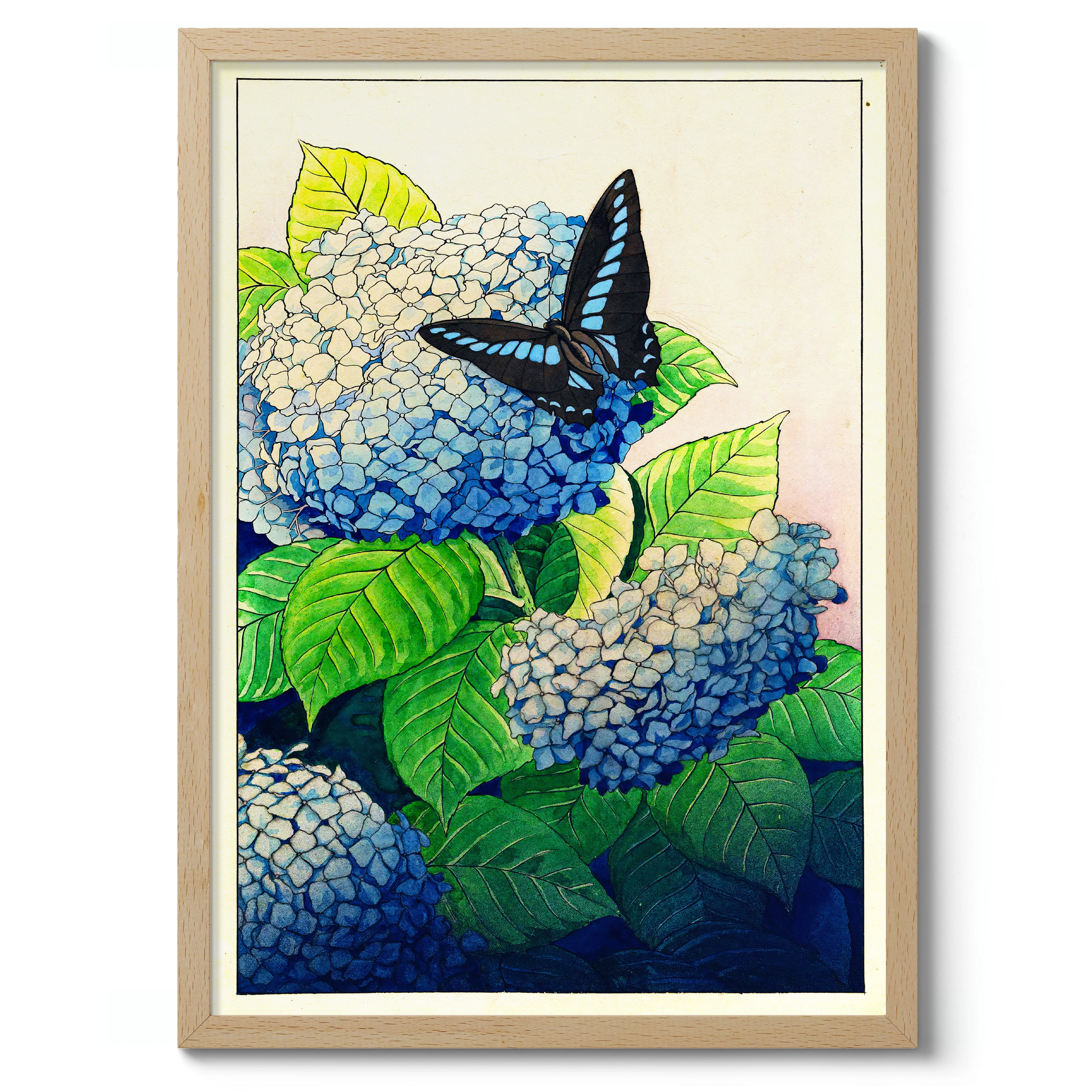 Hydrangeas and Butterfly - Image 3