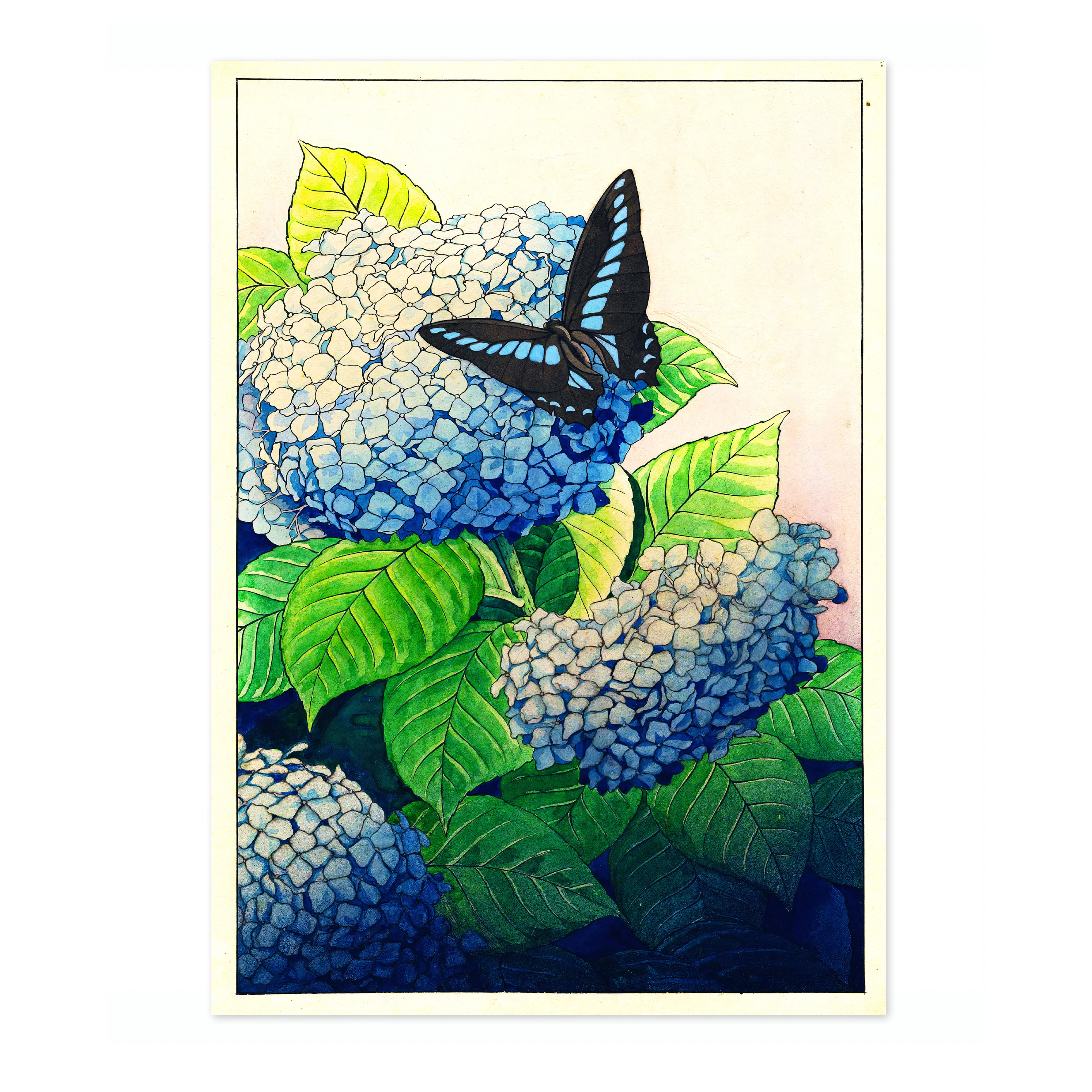 Hydrangeas and Butterfly - Image 4