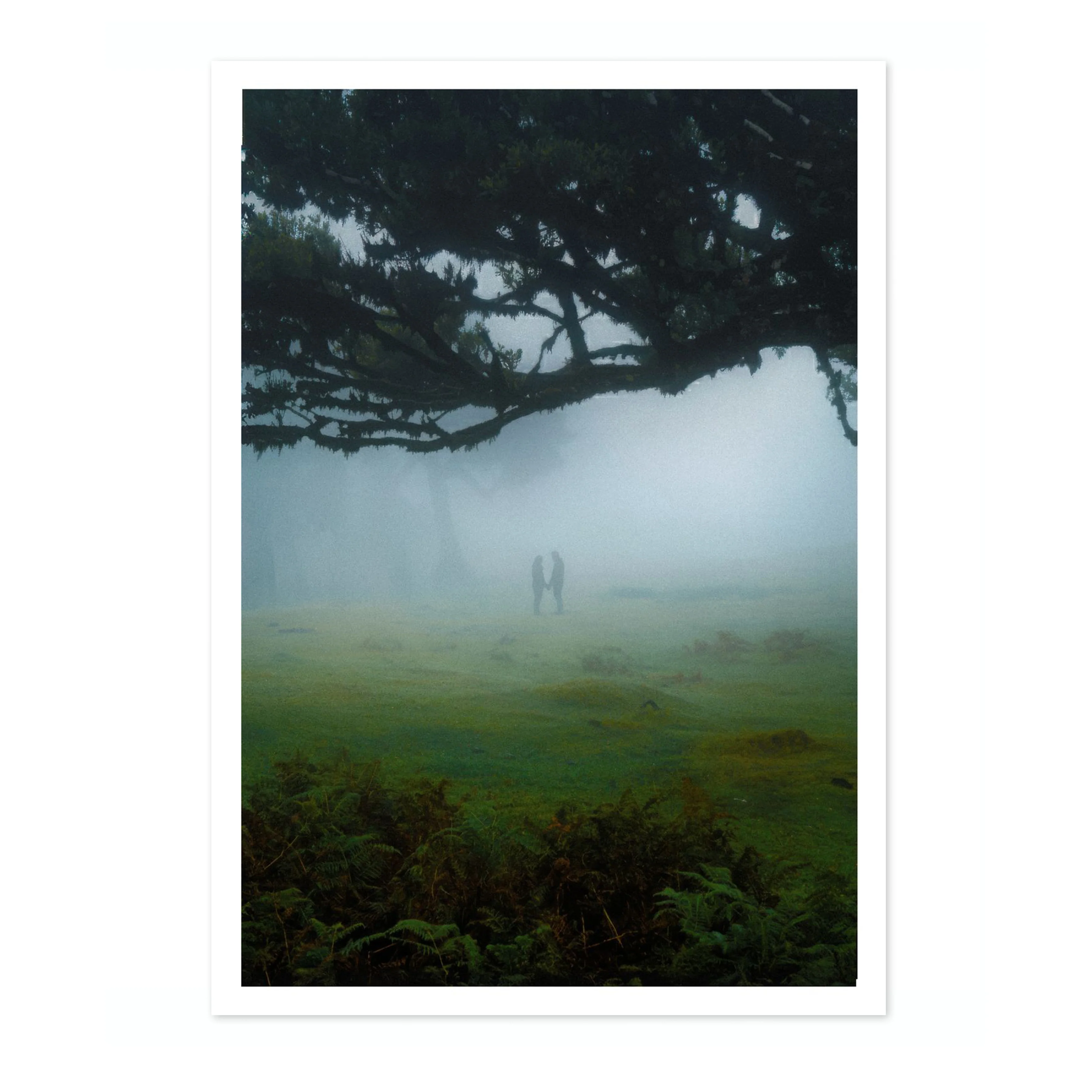 In the Fog - Image 4