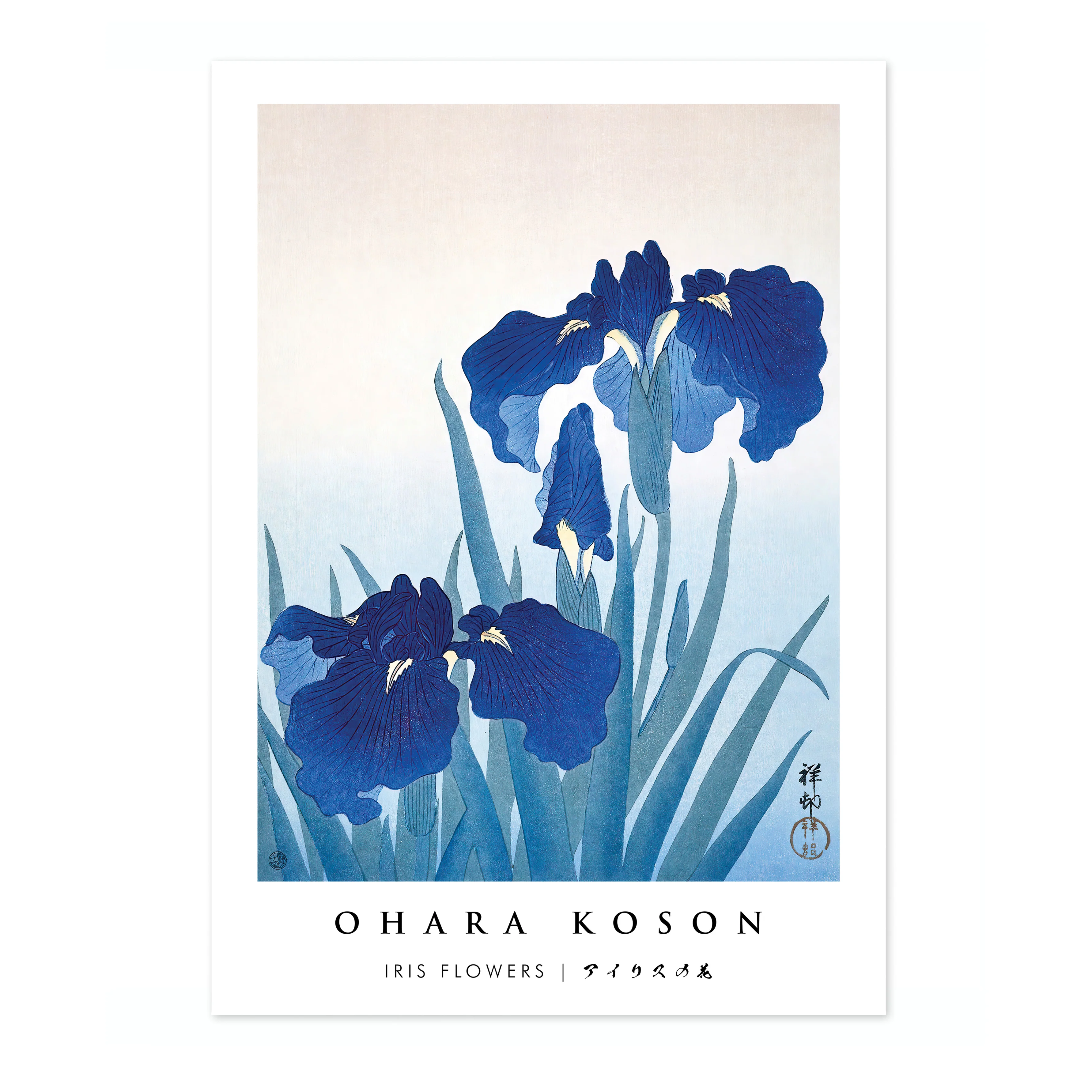 Iris Flowers - Image 4