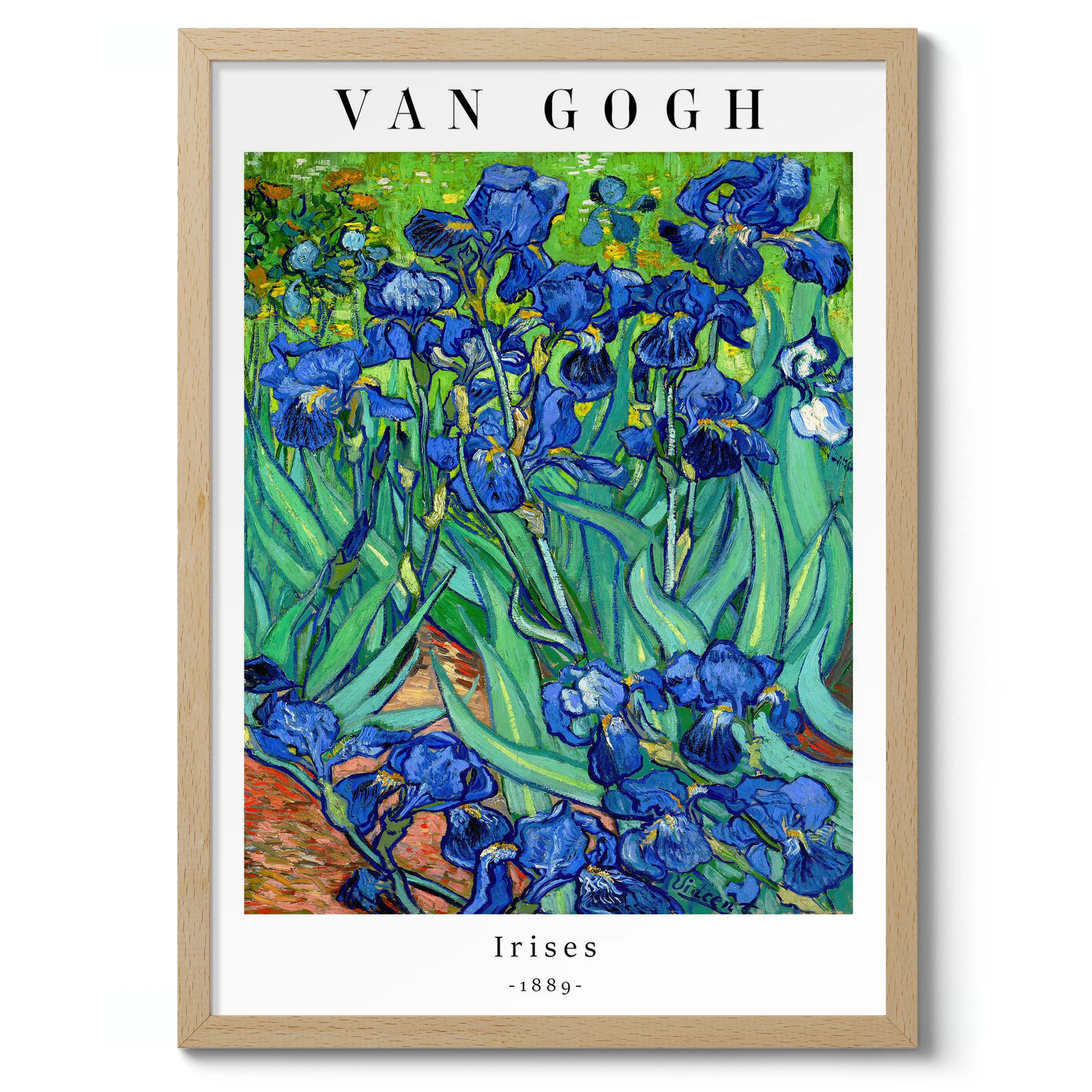 Irises - Image 3