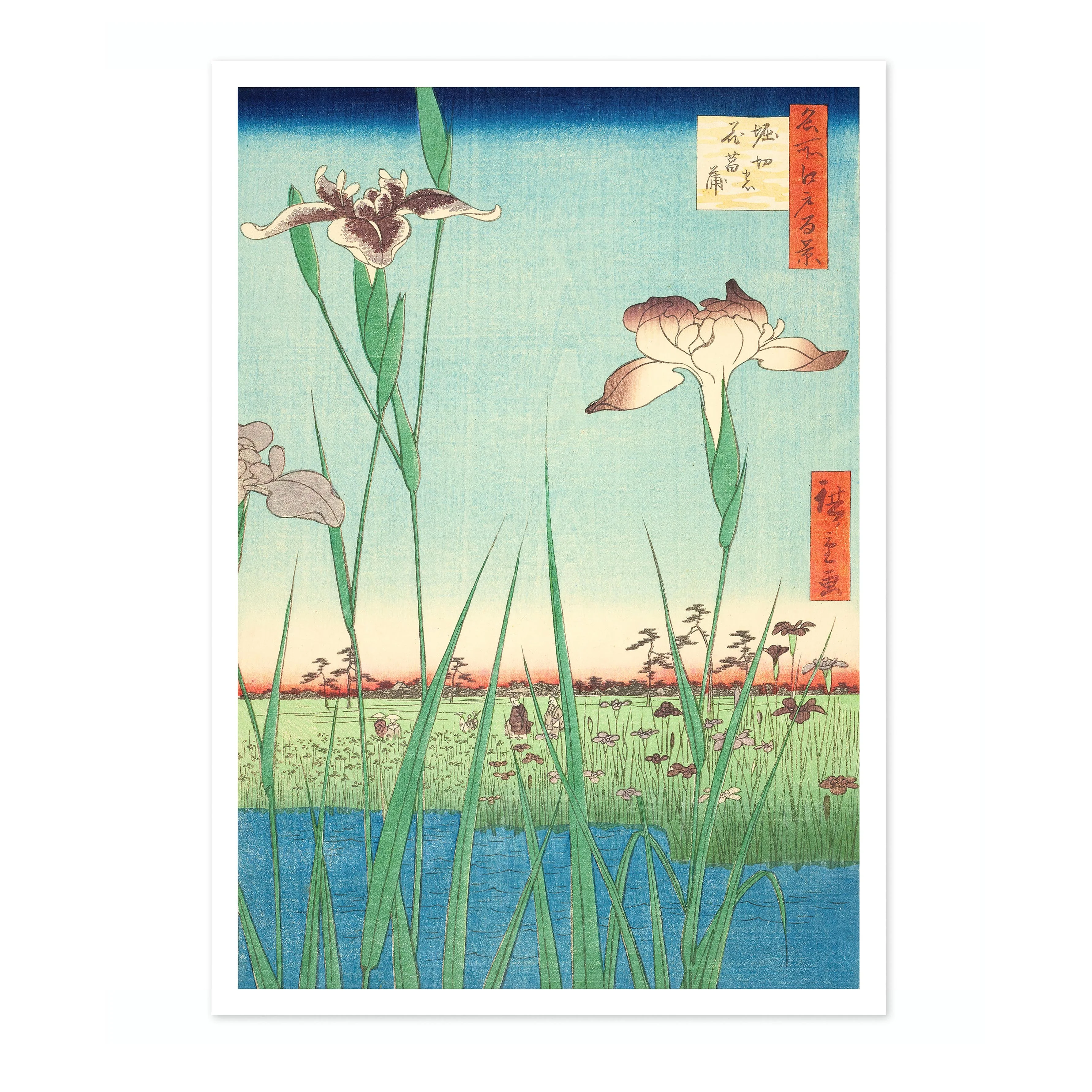 Irises at Horikiri - Image 4