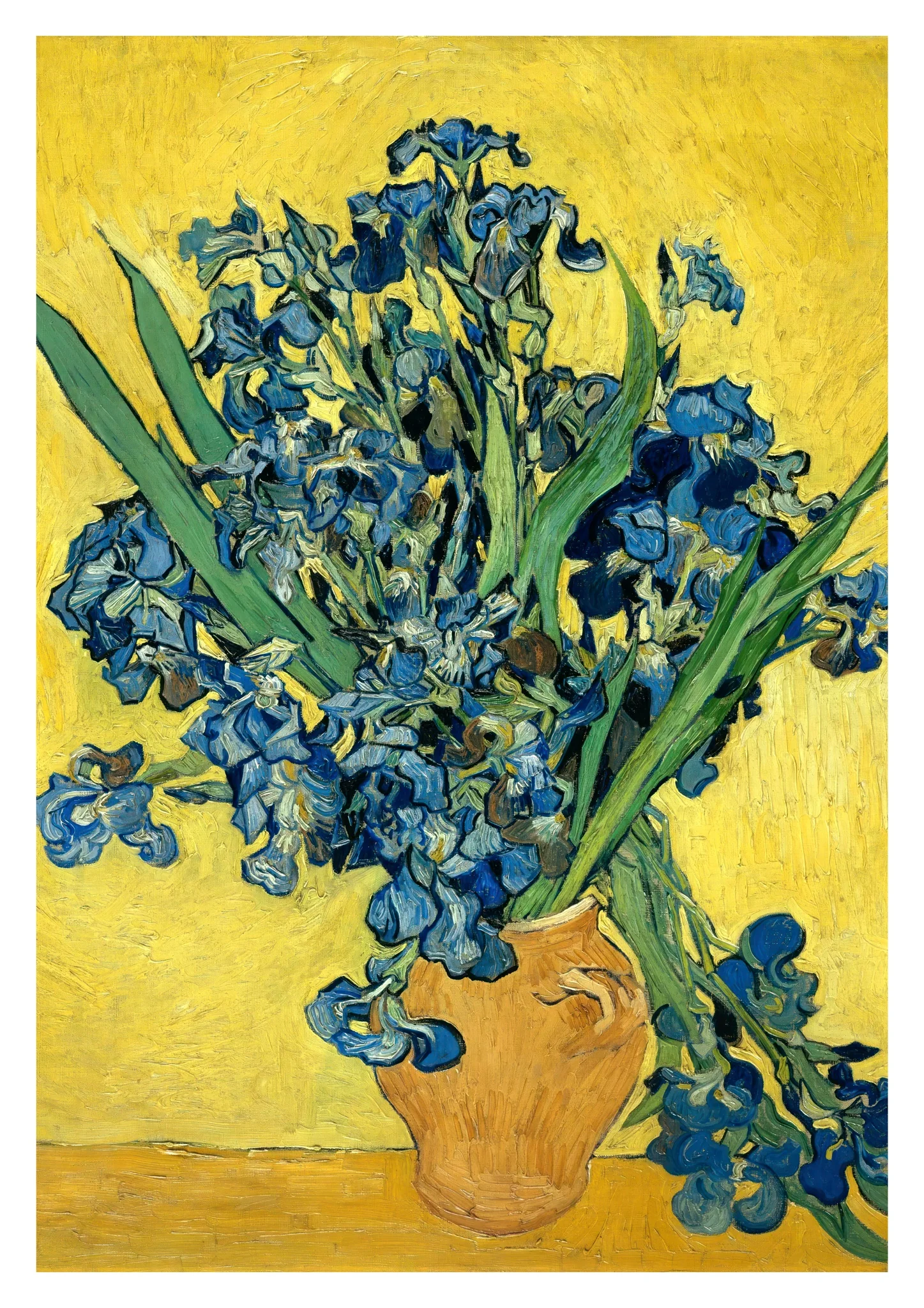 Irises