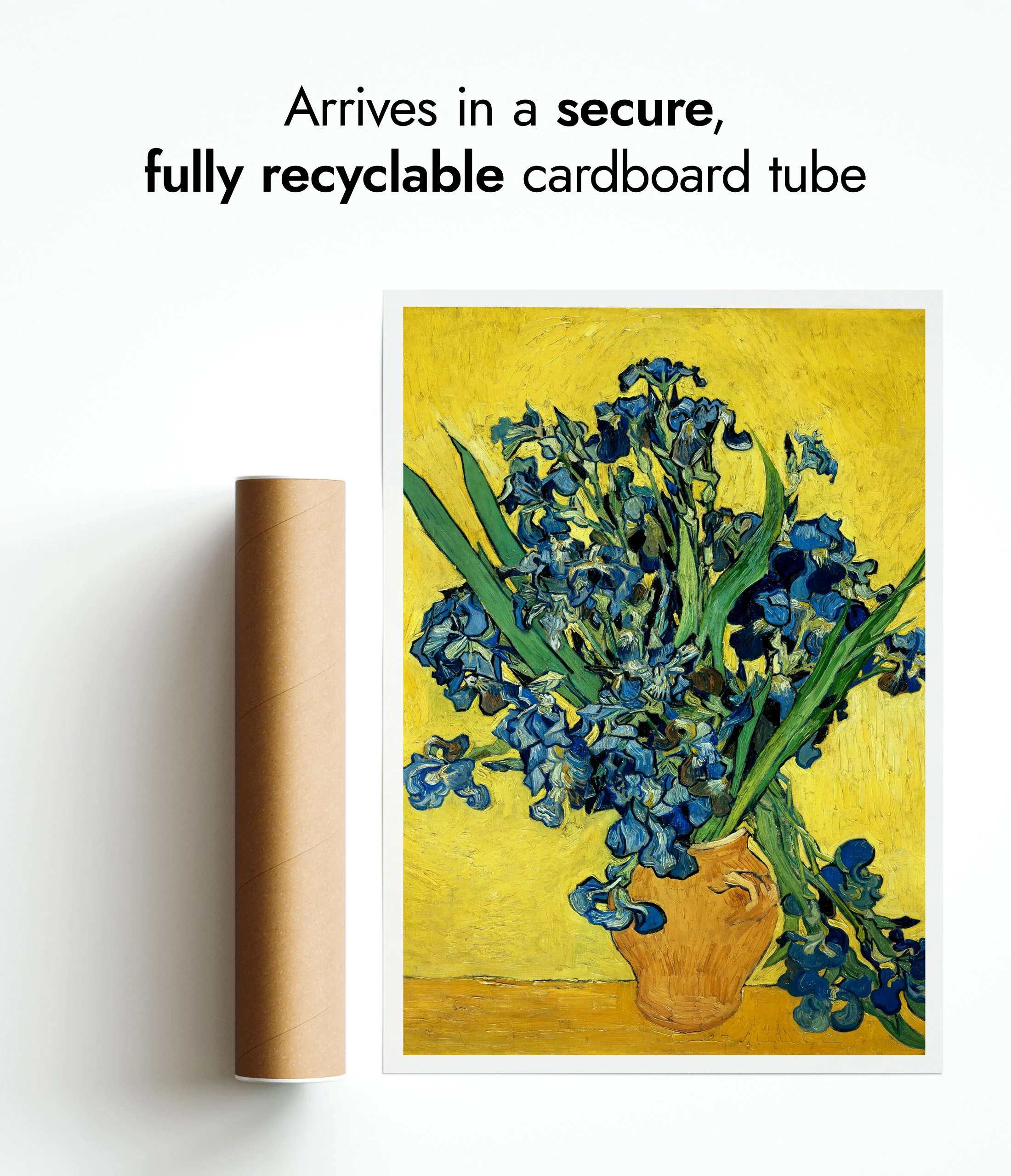 Irises - Image 9