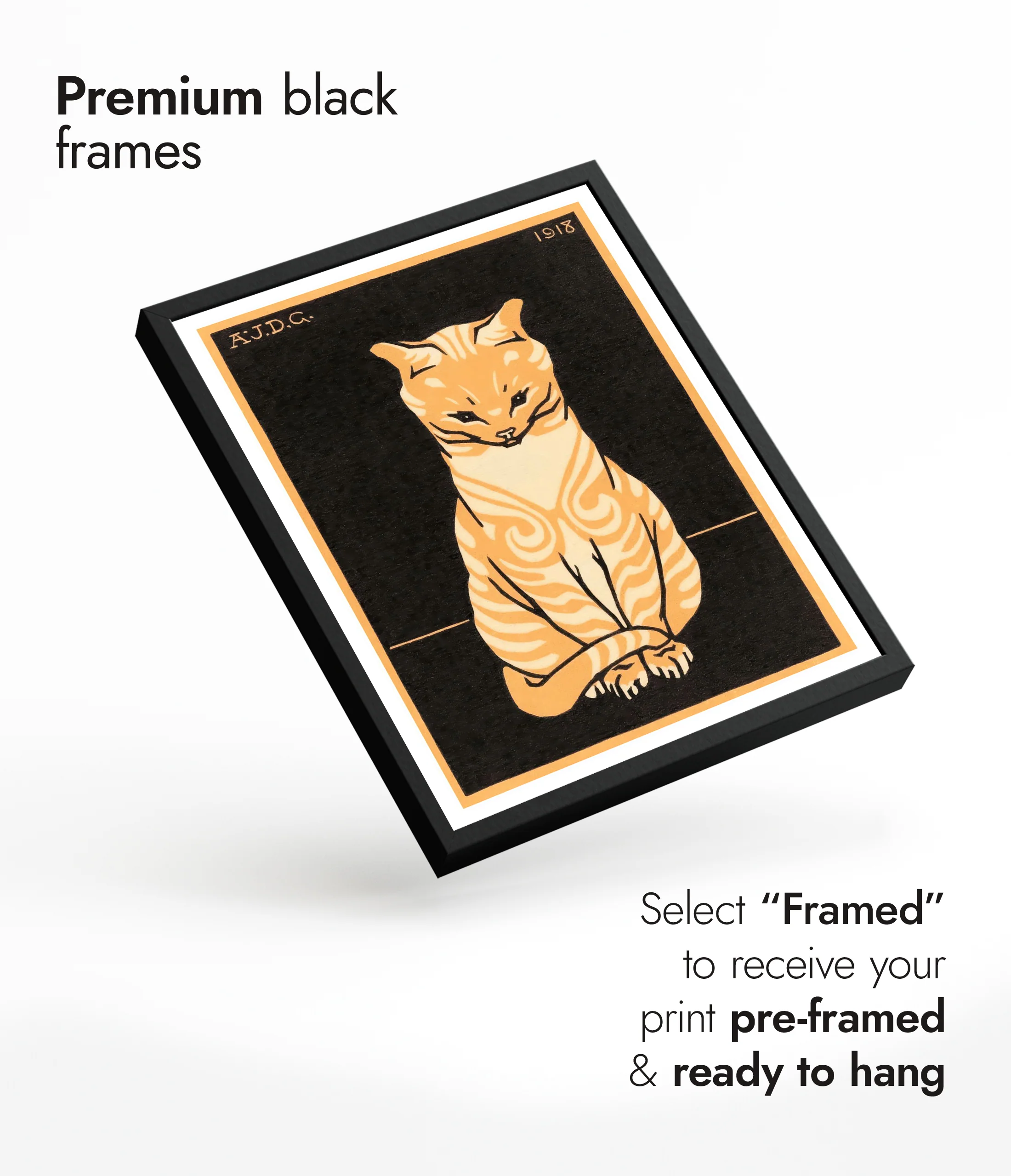 Orange Tabby Cat - Image 7