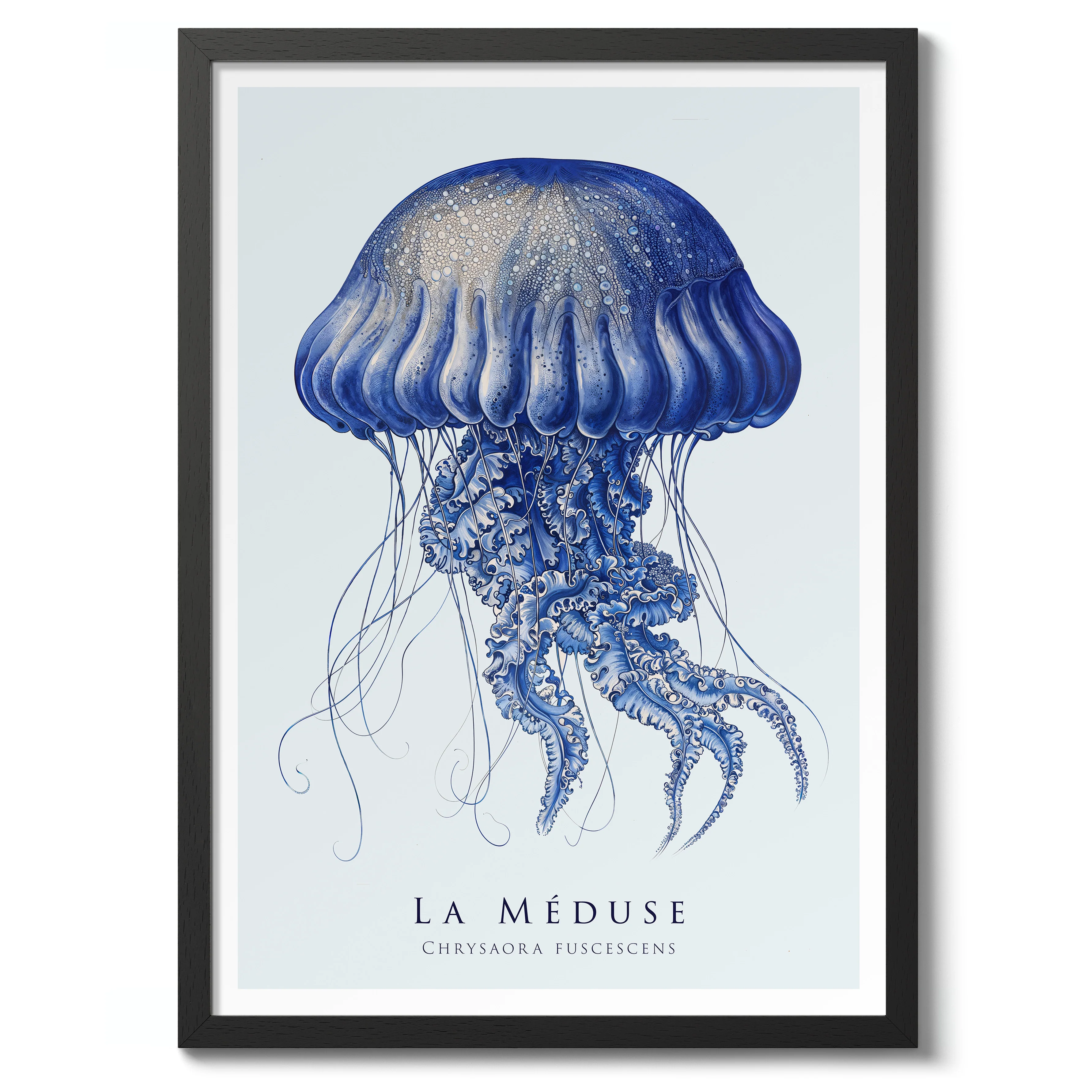Jellyfish - Image 2