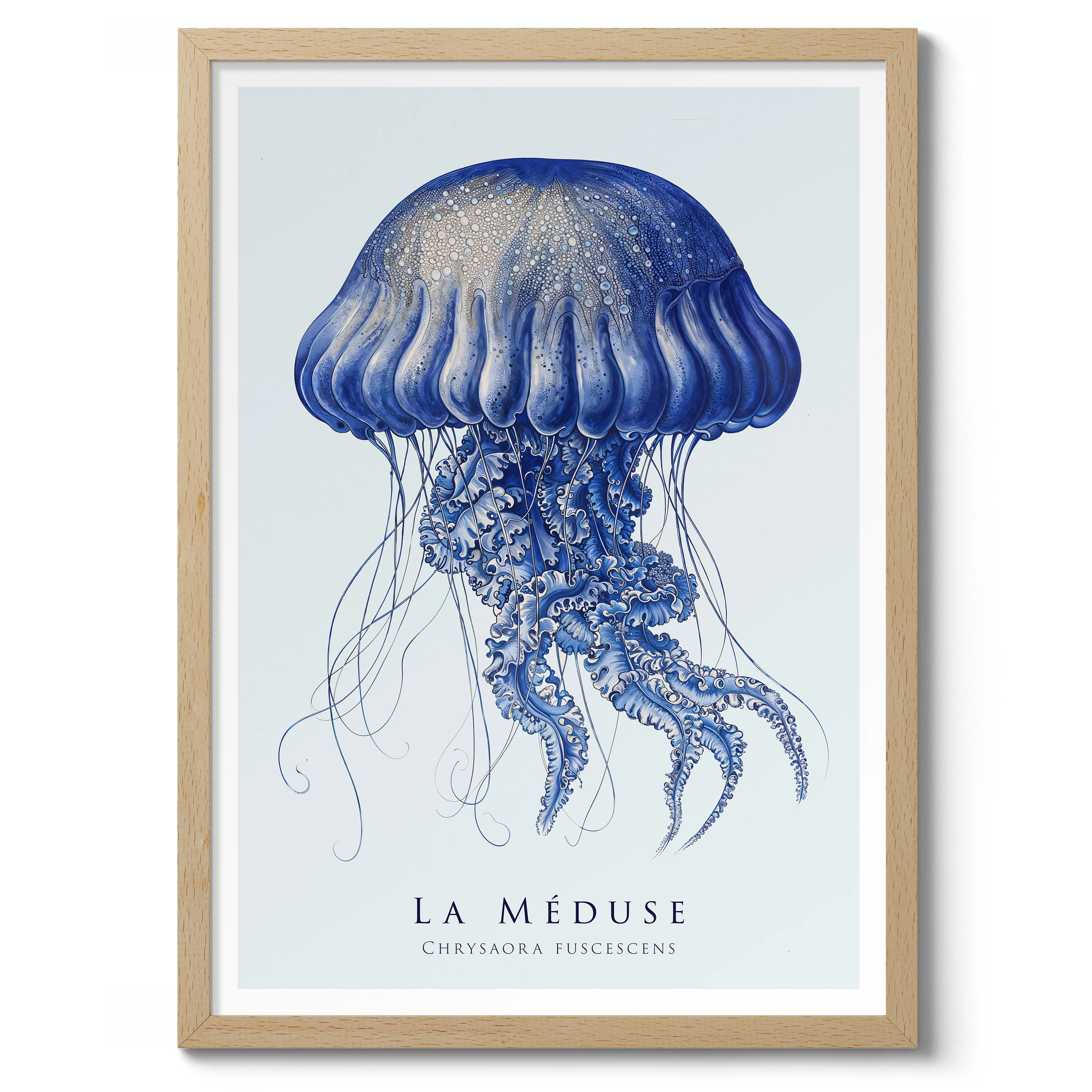 Jellyfish - Image 3