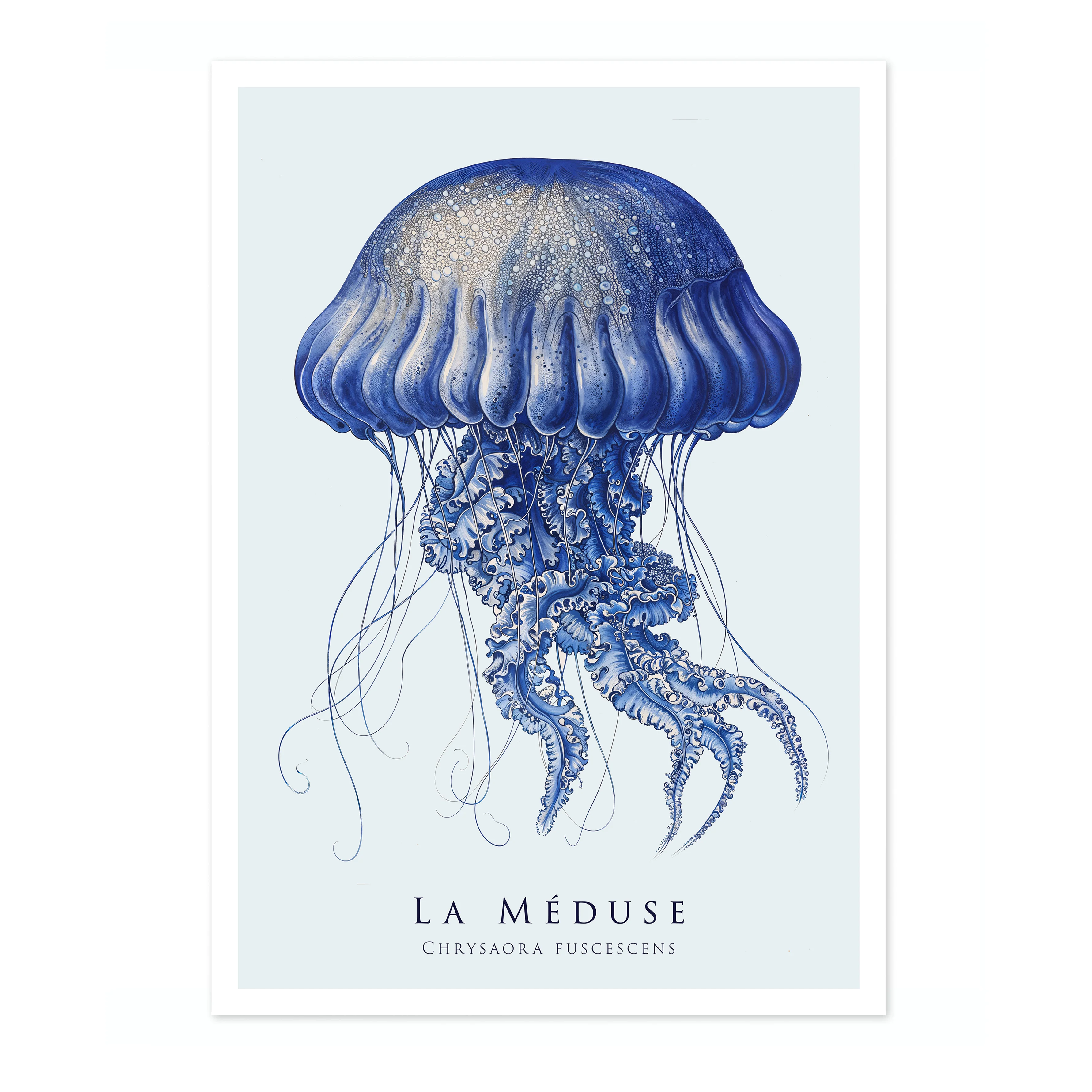 Jellyfish - Image 4