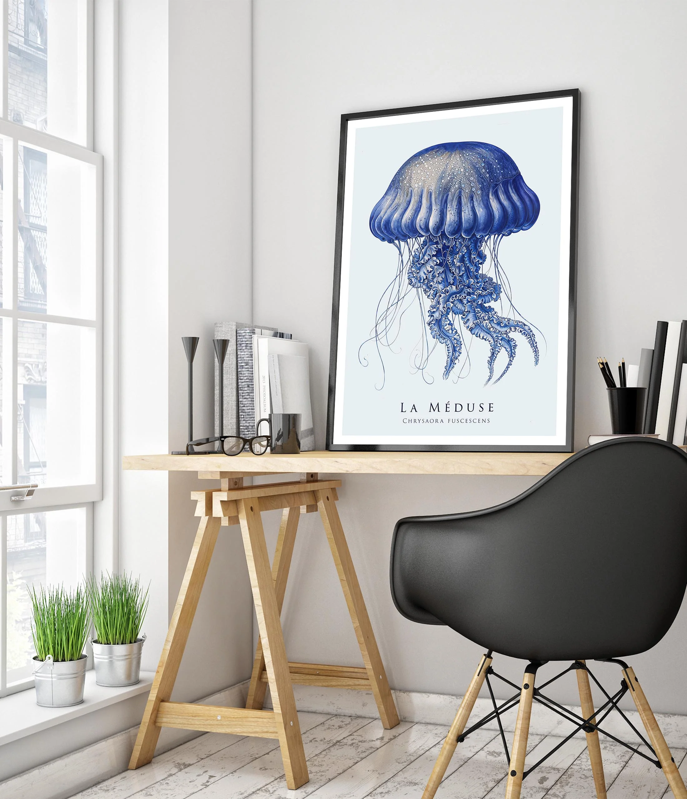 Jellyfish - Image 5