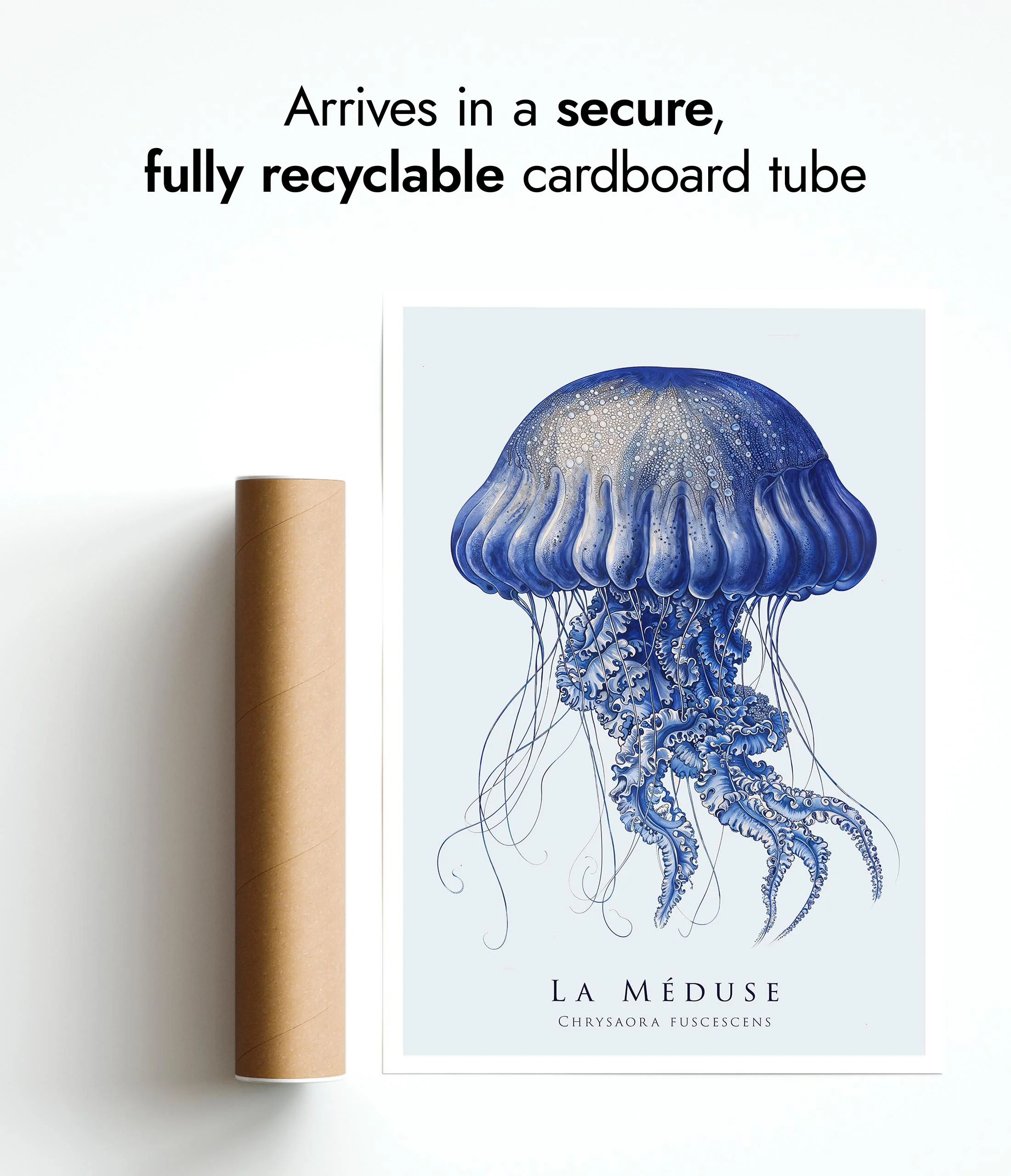 Jellyfish - Image 9