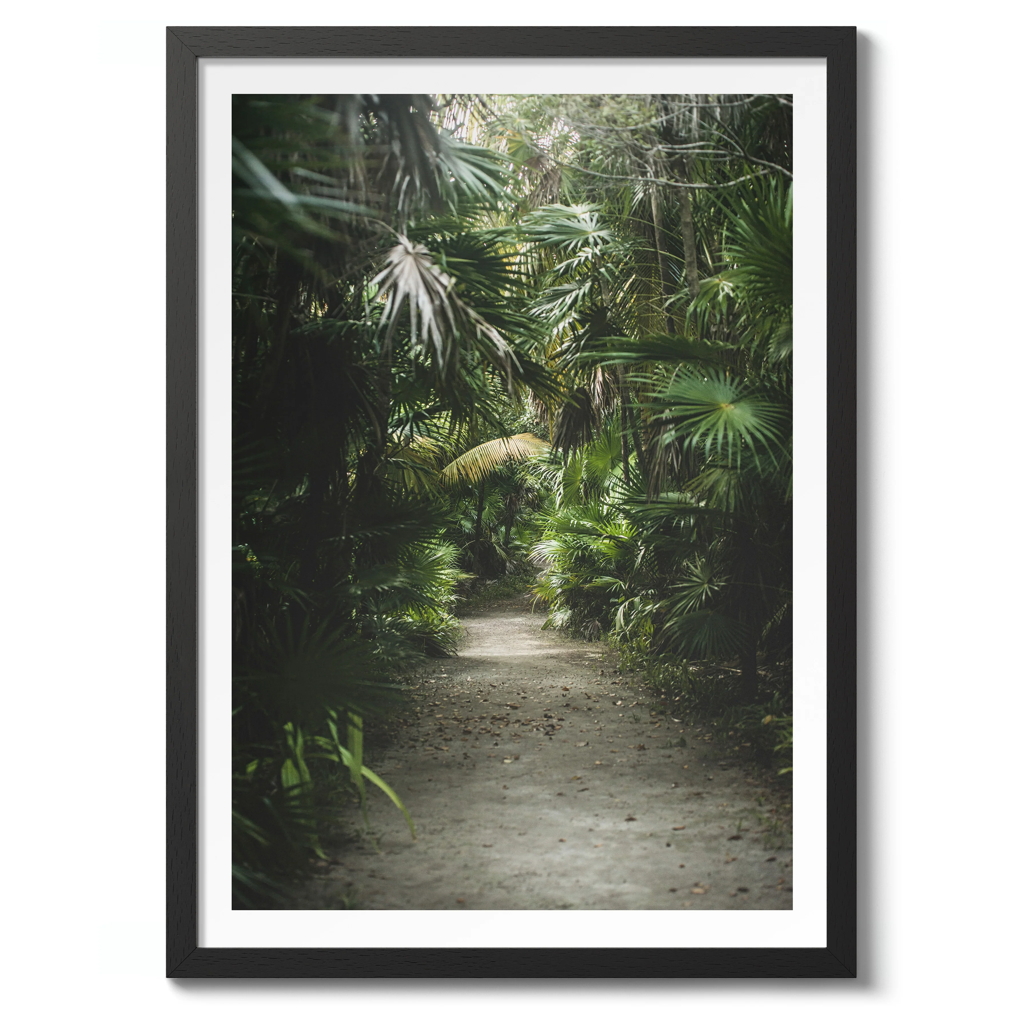 Jungle Path - Image 2