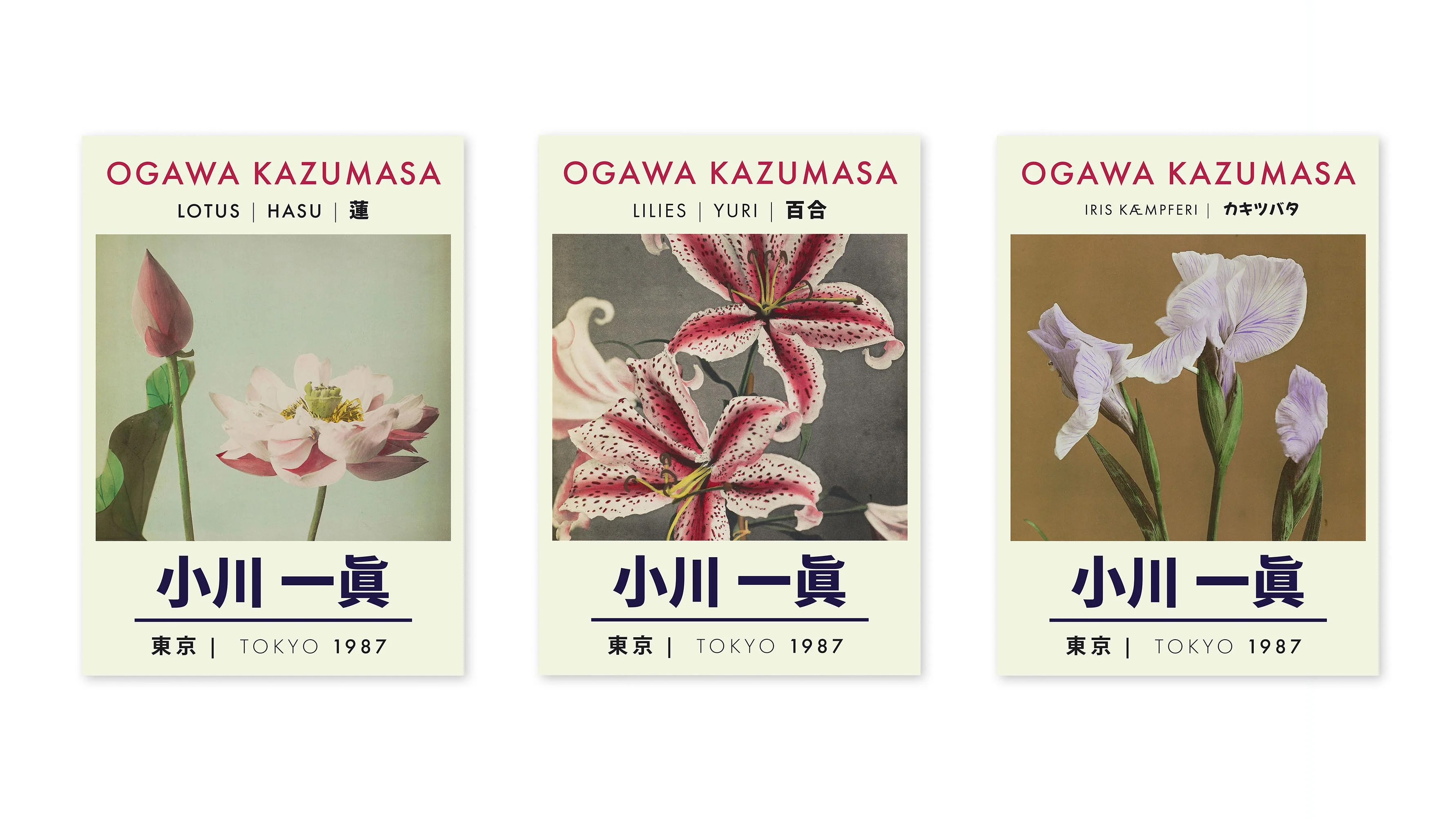 Kazumasa Lotus Exhibition - Image 3