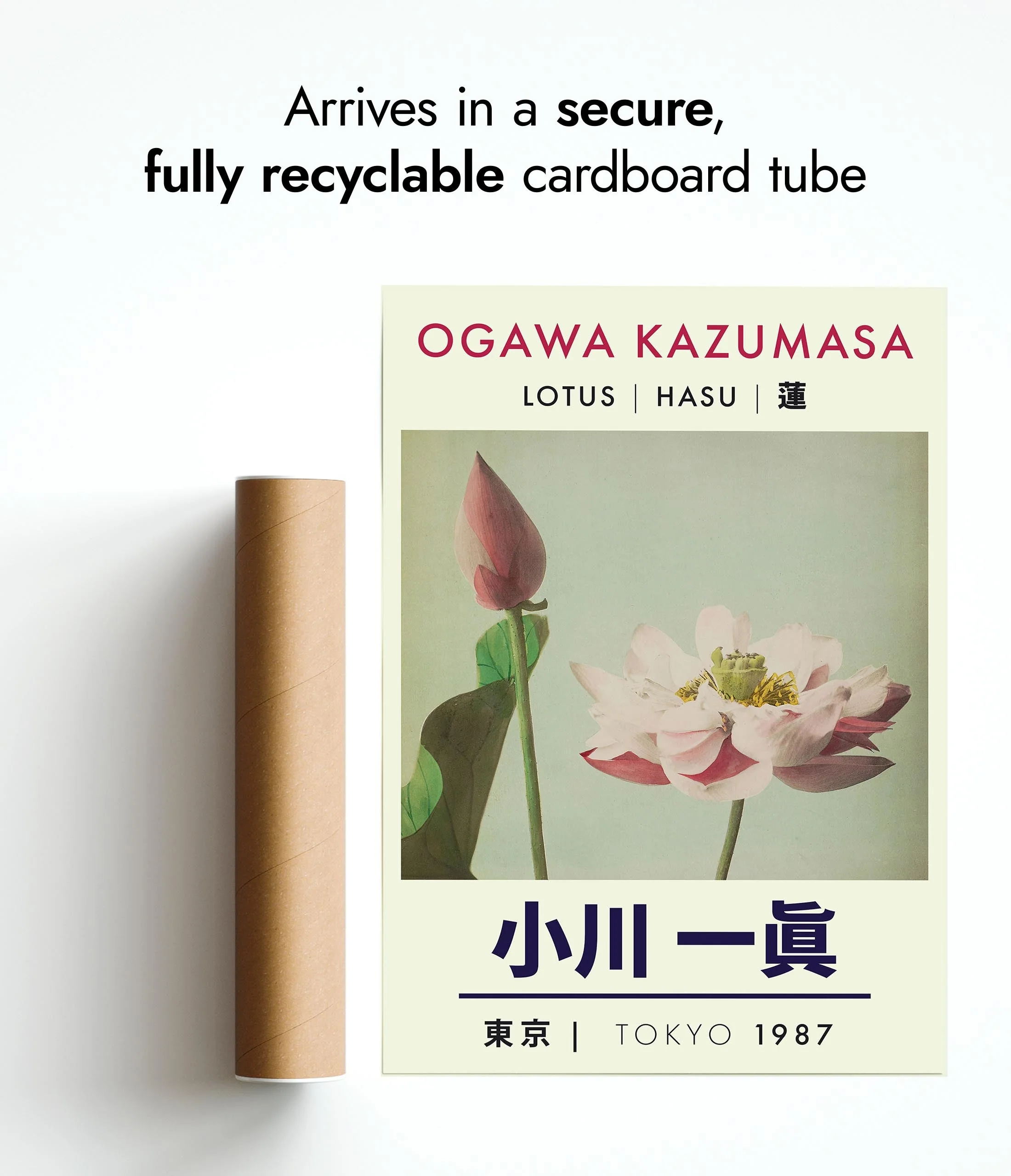 Kazumasa Lotus Exhibition - Image 8