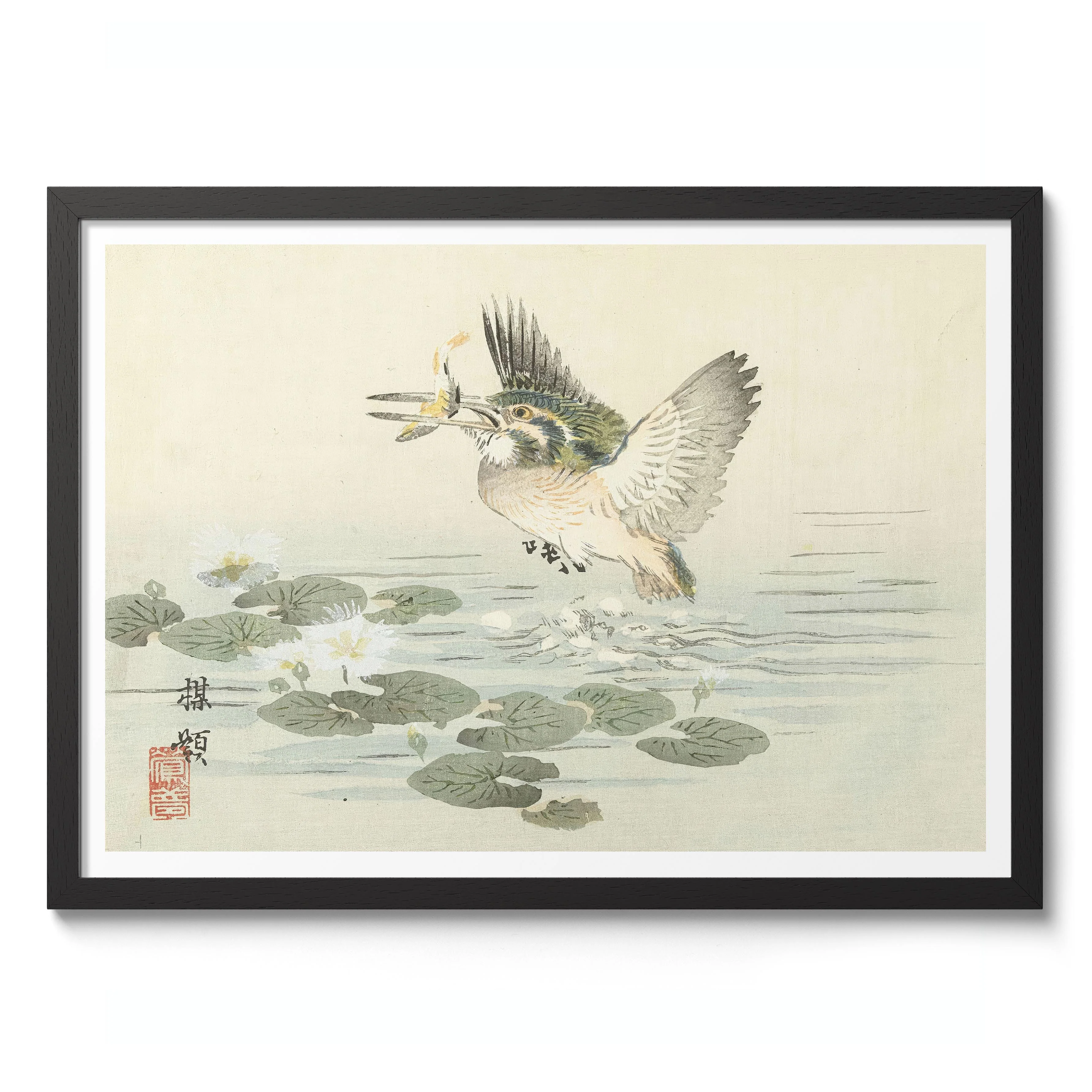 Kingfisher - Image 2