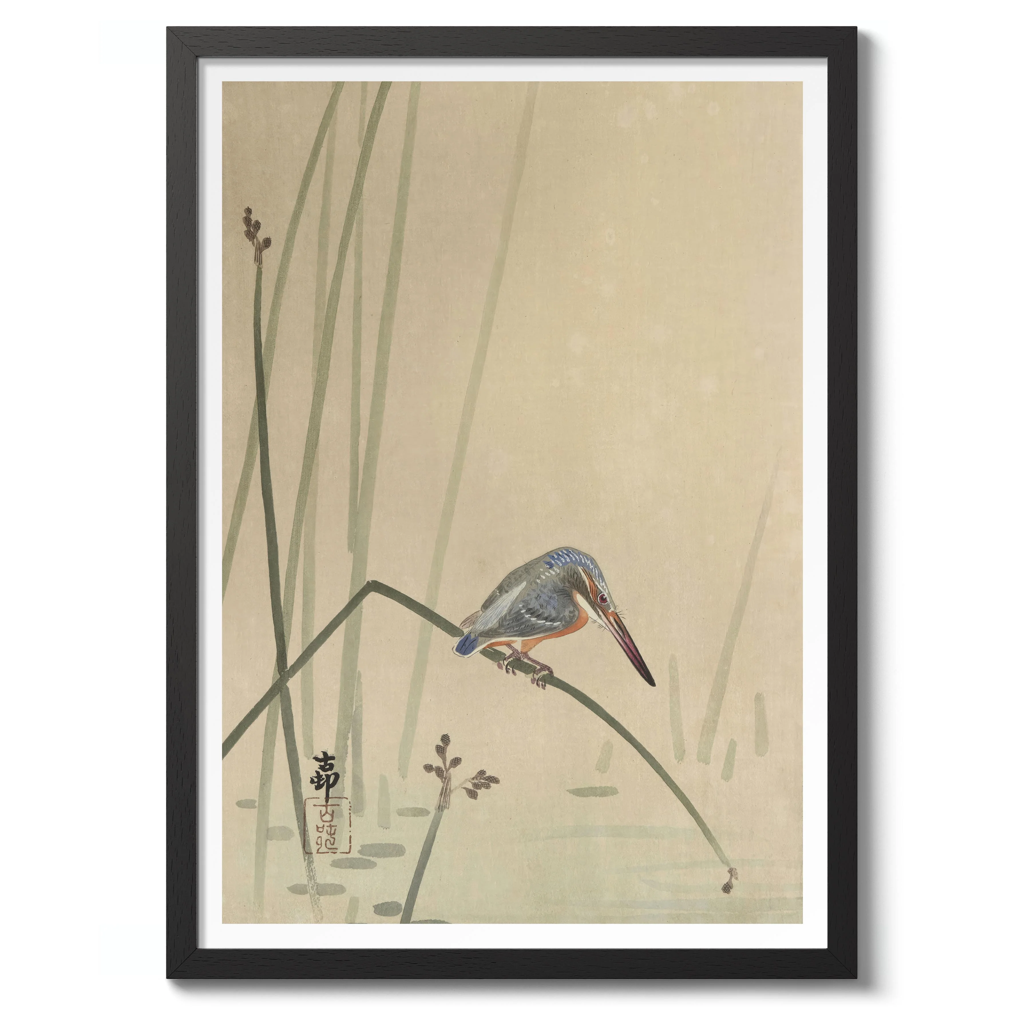 Kingfisher Perched on Water Stem - Image 2