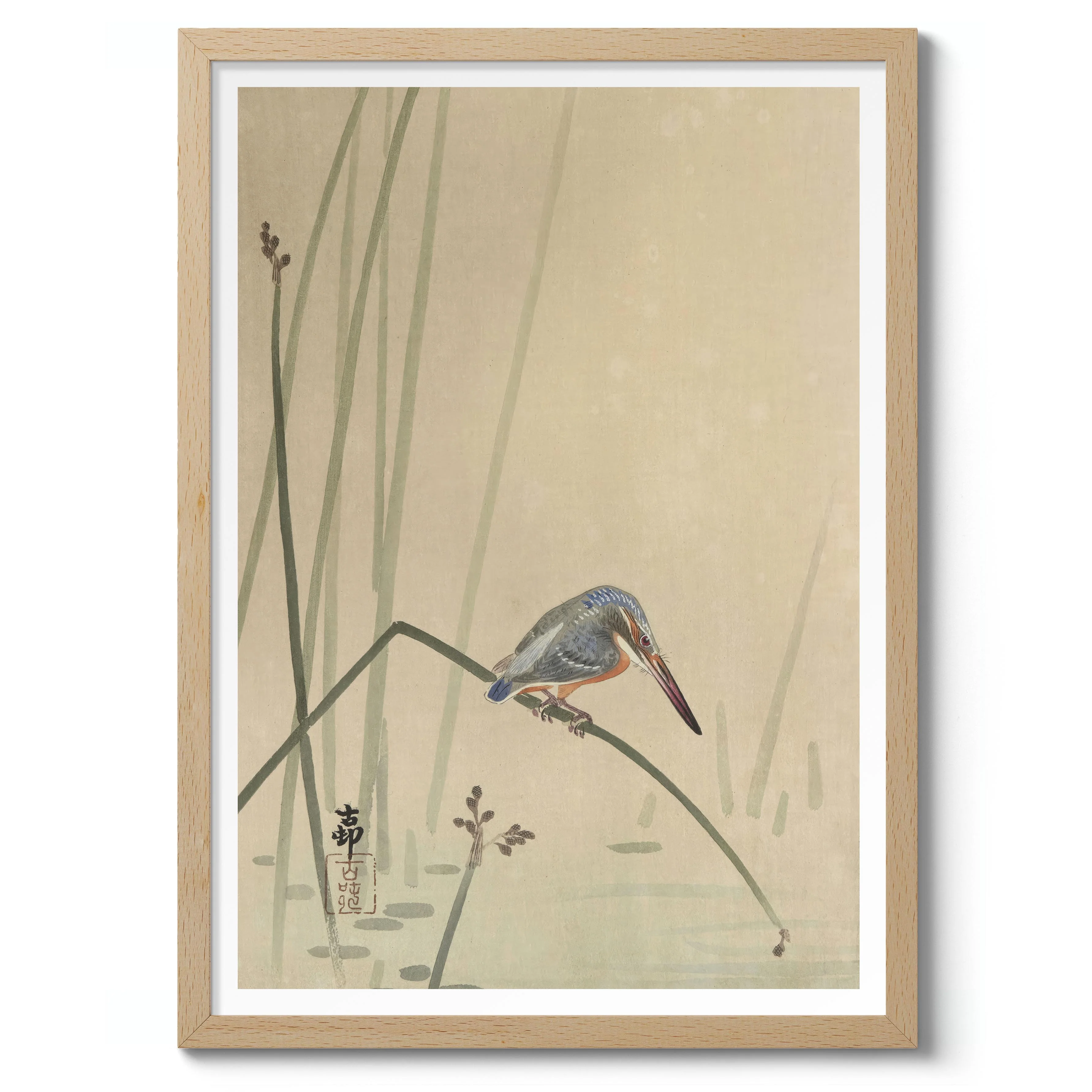 Kingfisher Perched on Water Stem - Image 3