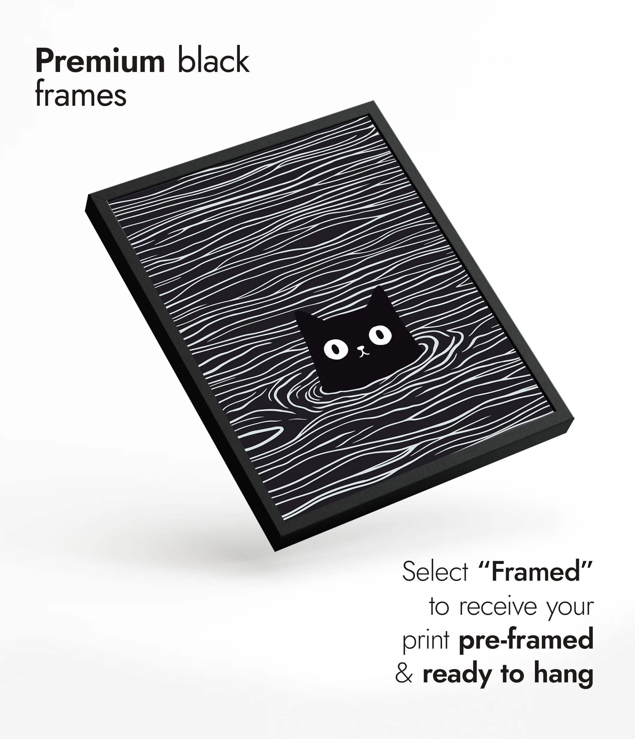 Kitten Ripples - Image 7
