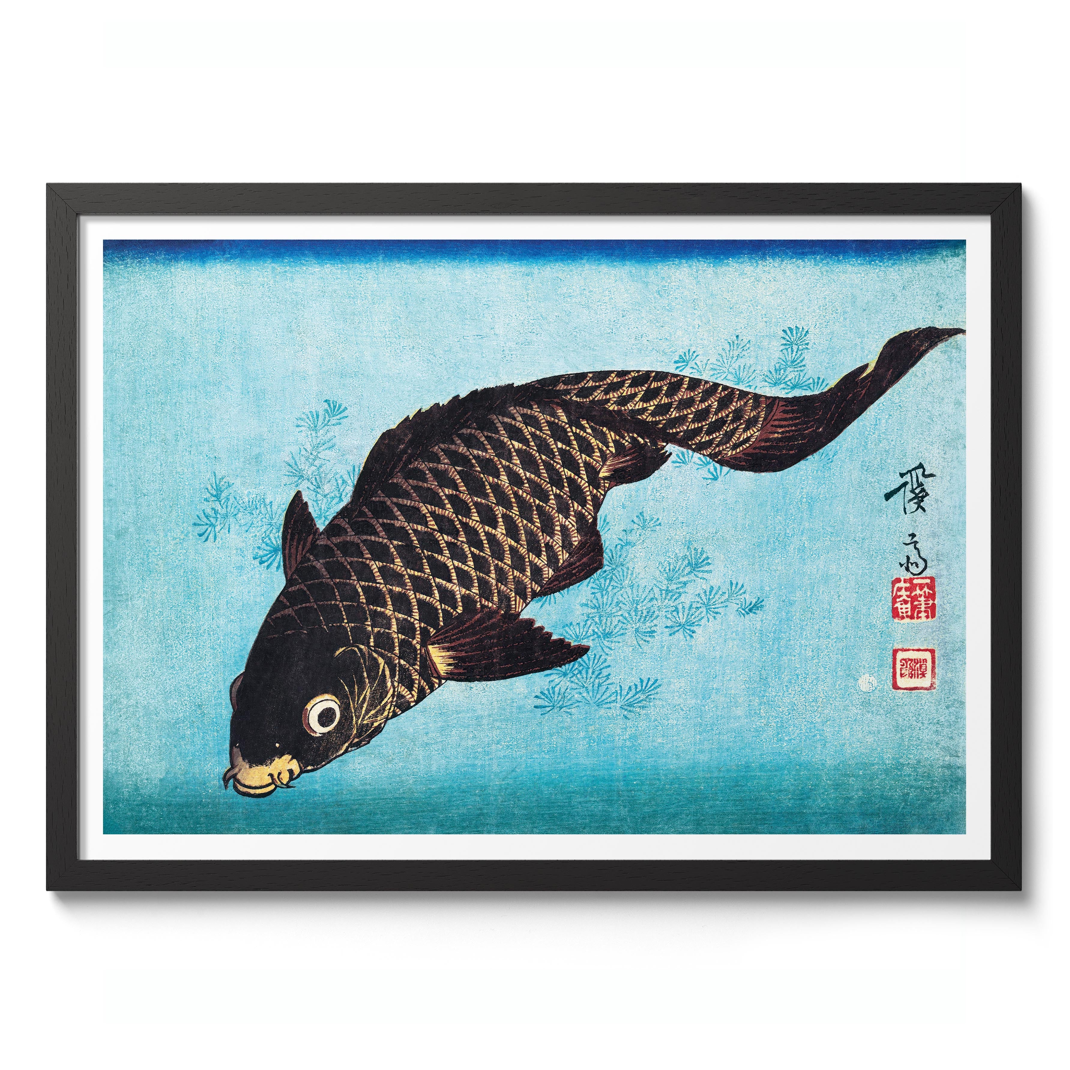 Koi - Image 2
