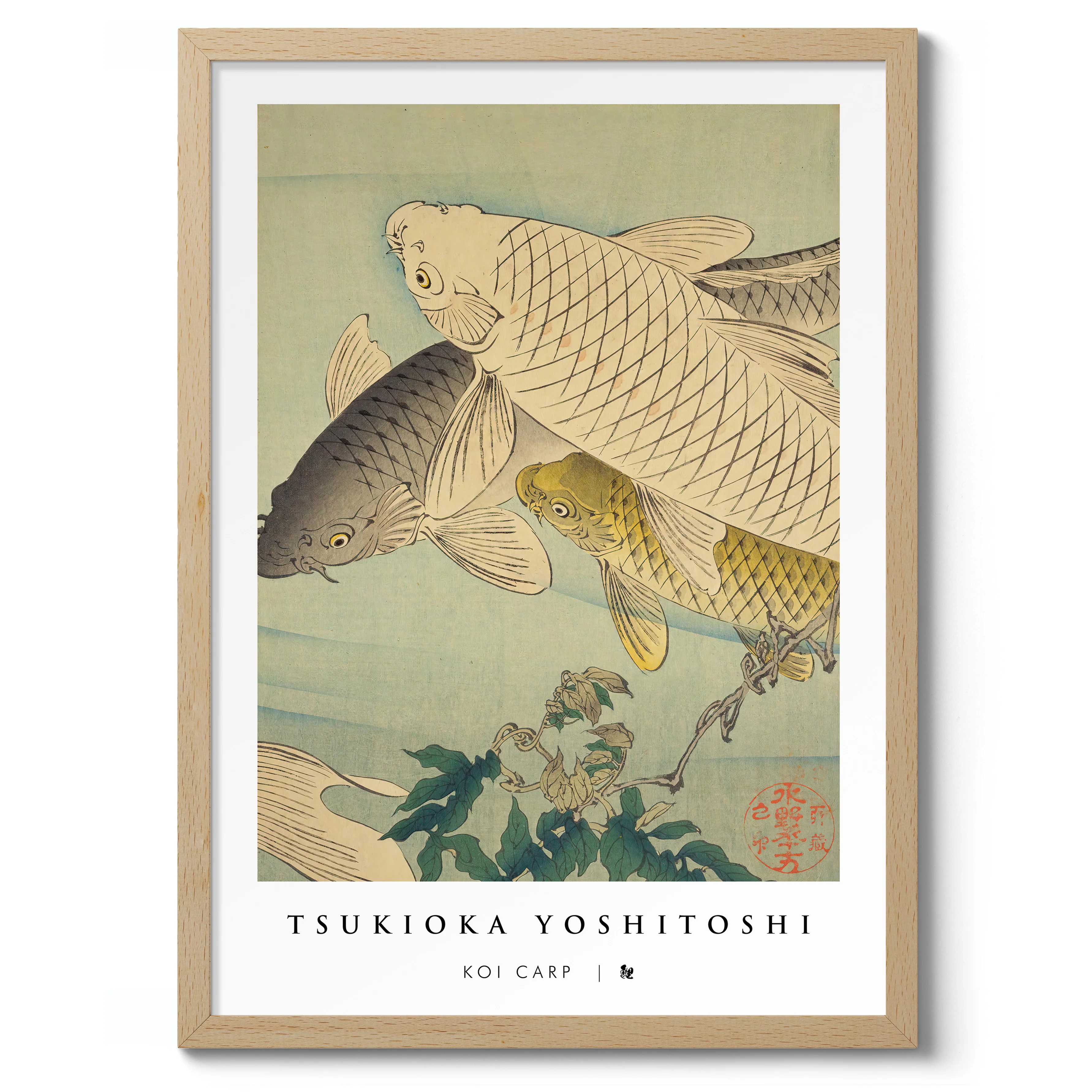 Koi Carp - Image 3