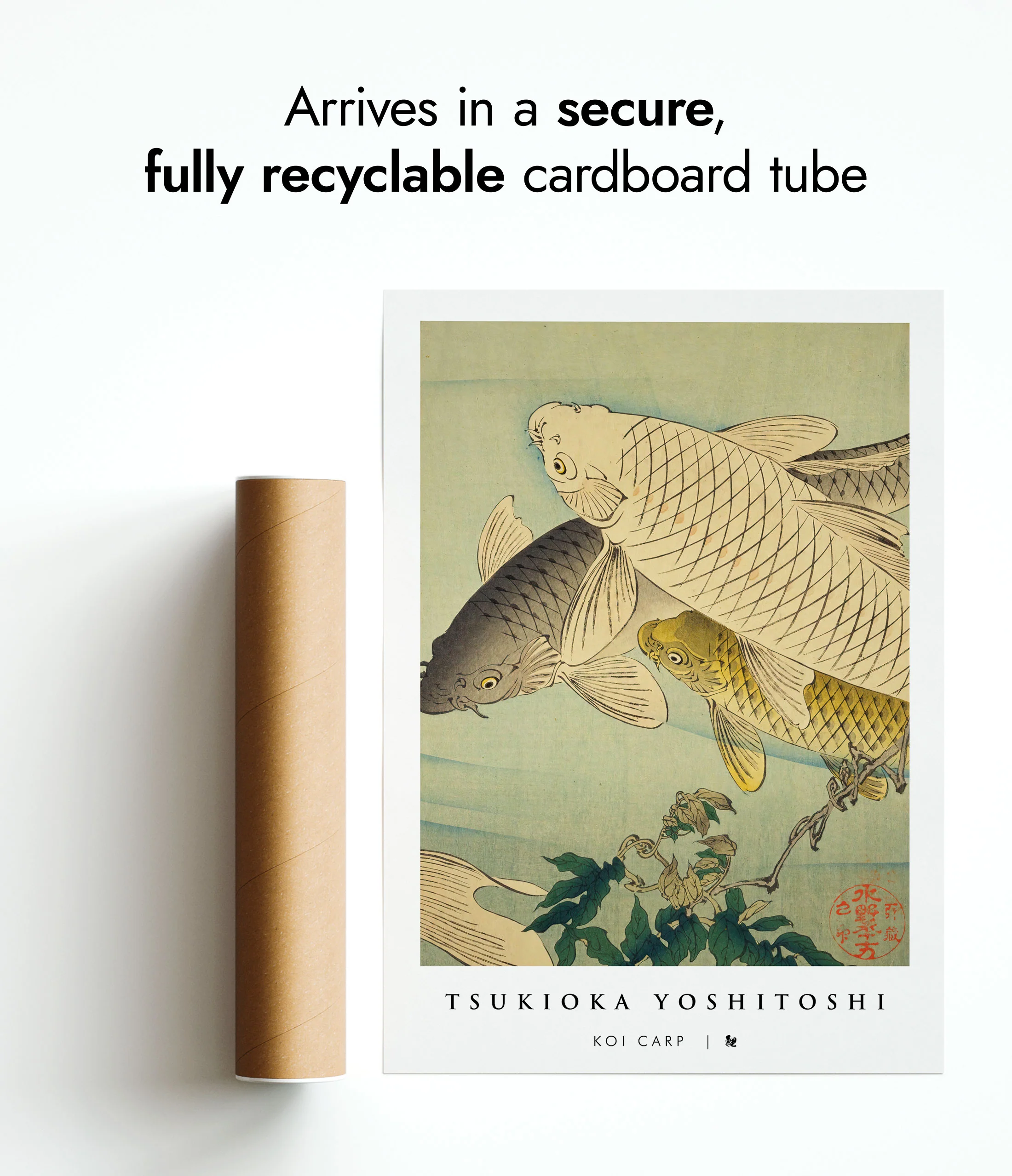 Koi Carp - Image 9