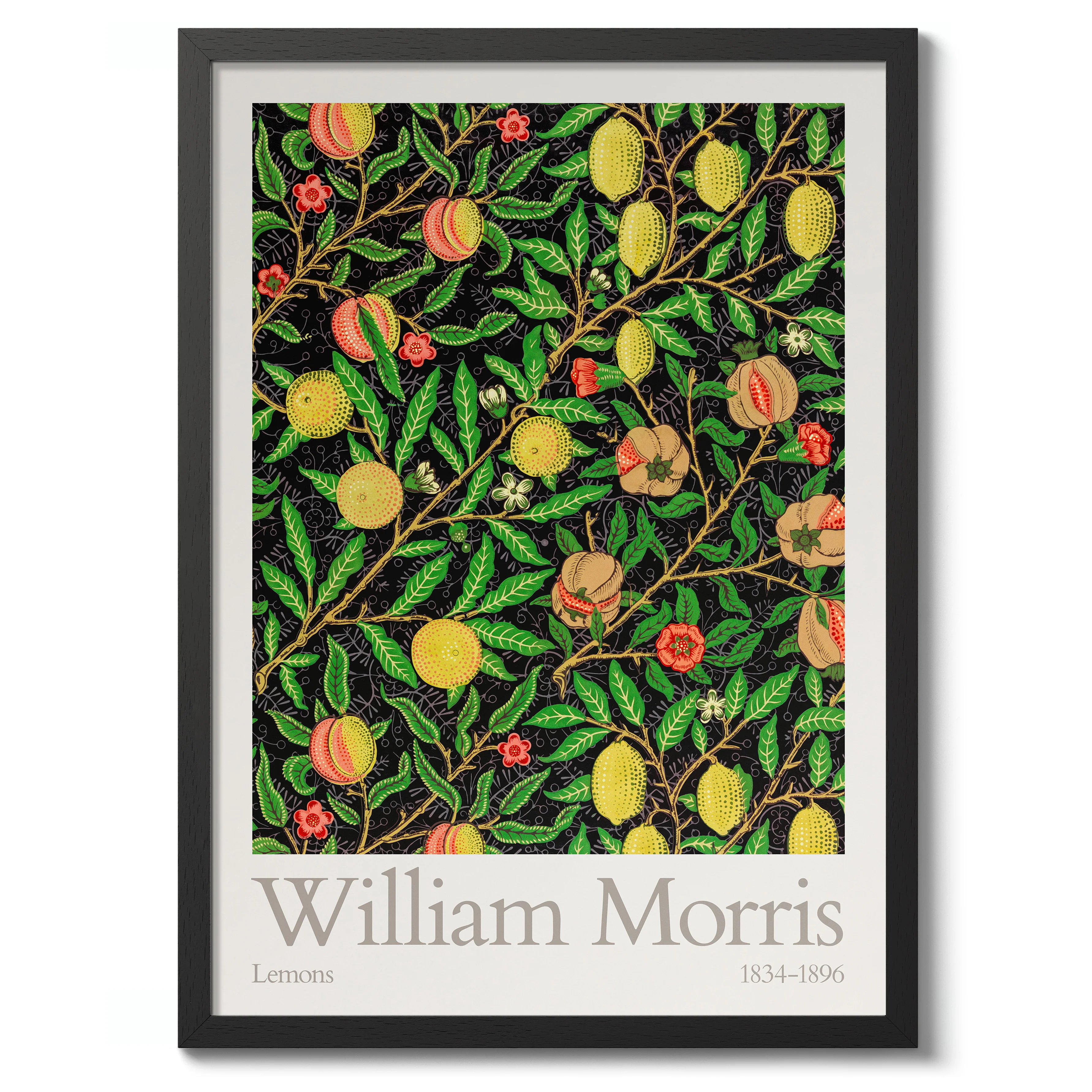 Lemons - Image 2