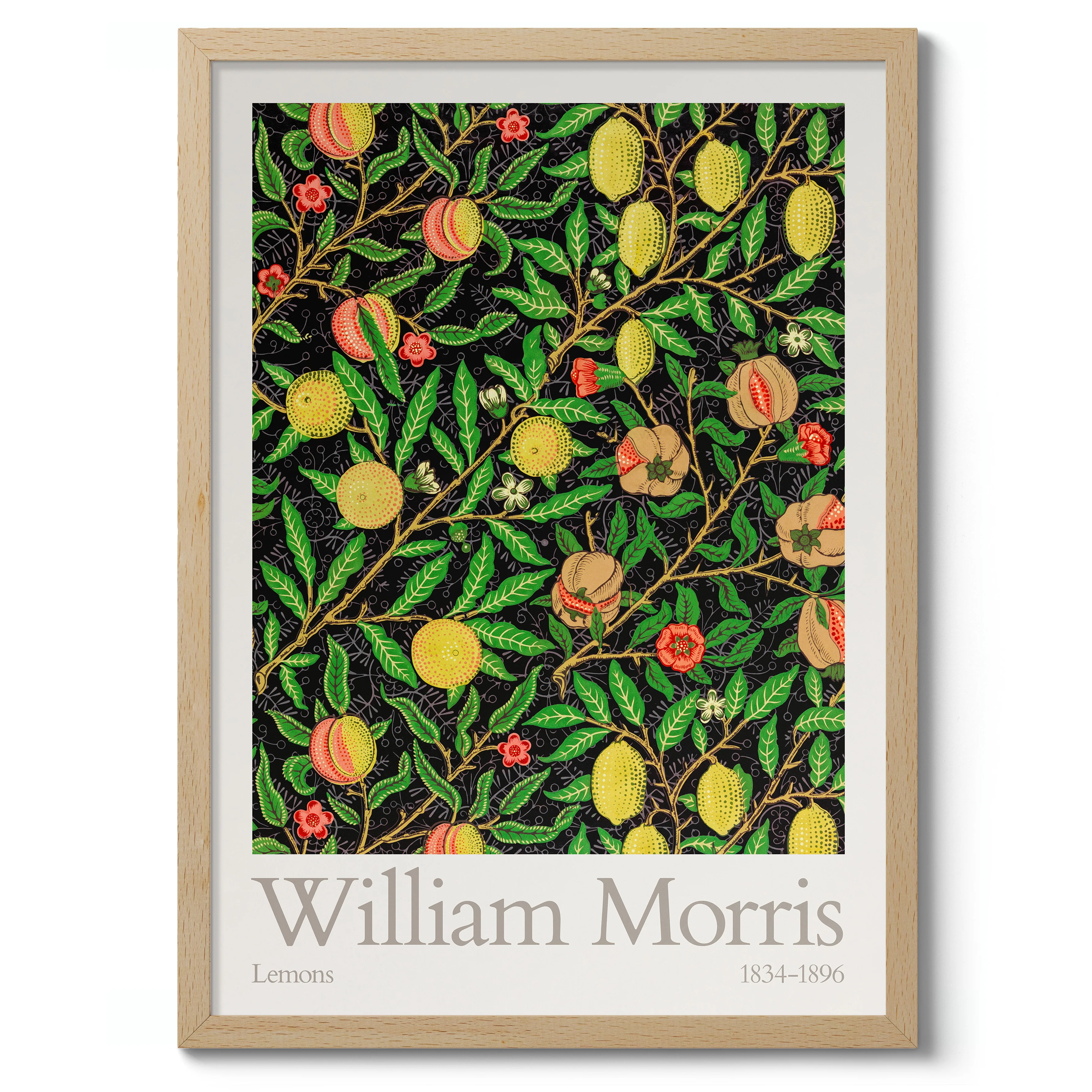 Lemons - Image 3
