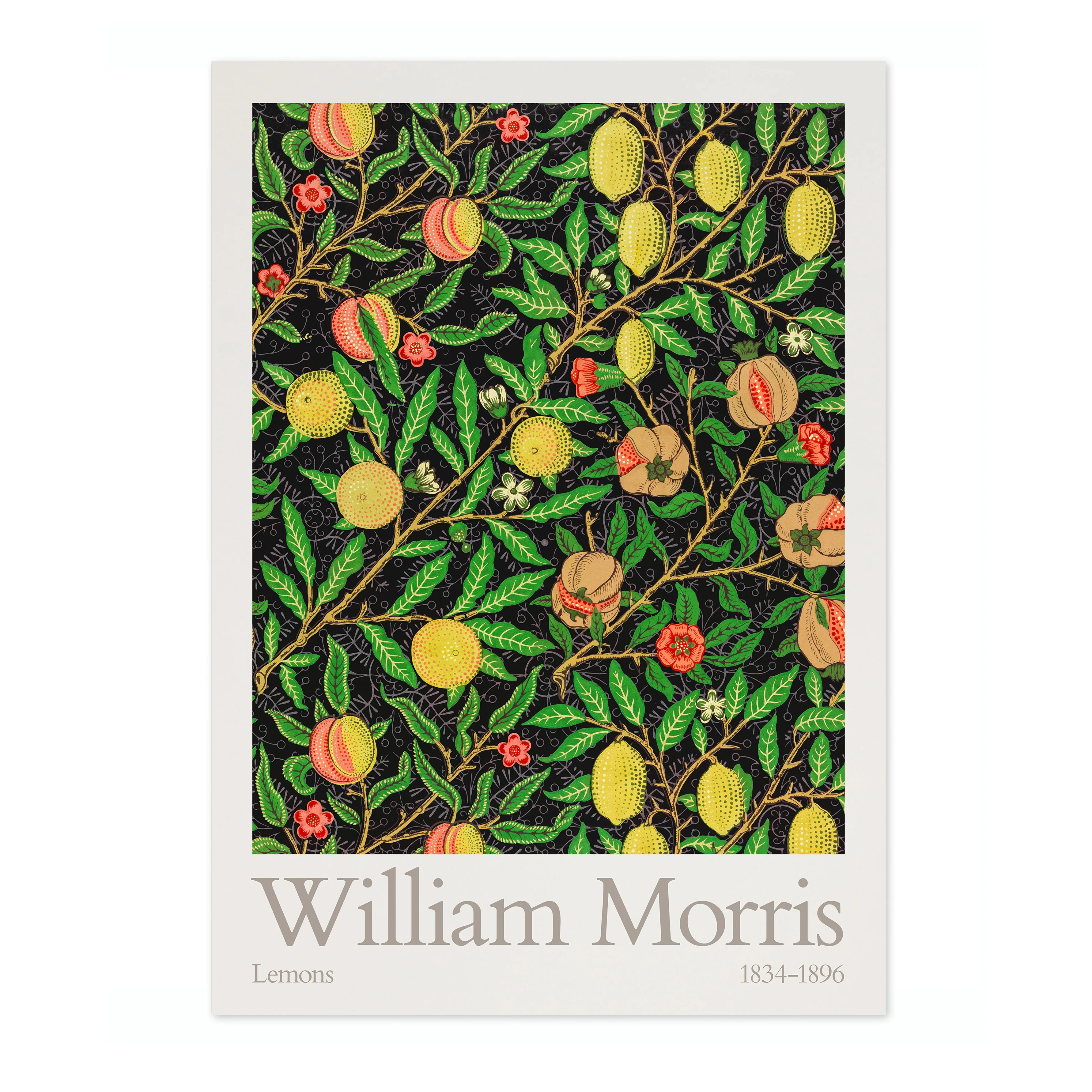 Lemons - Image 4