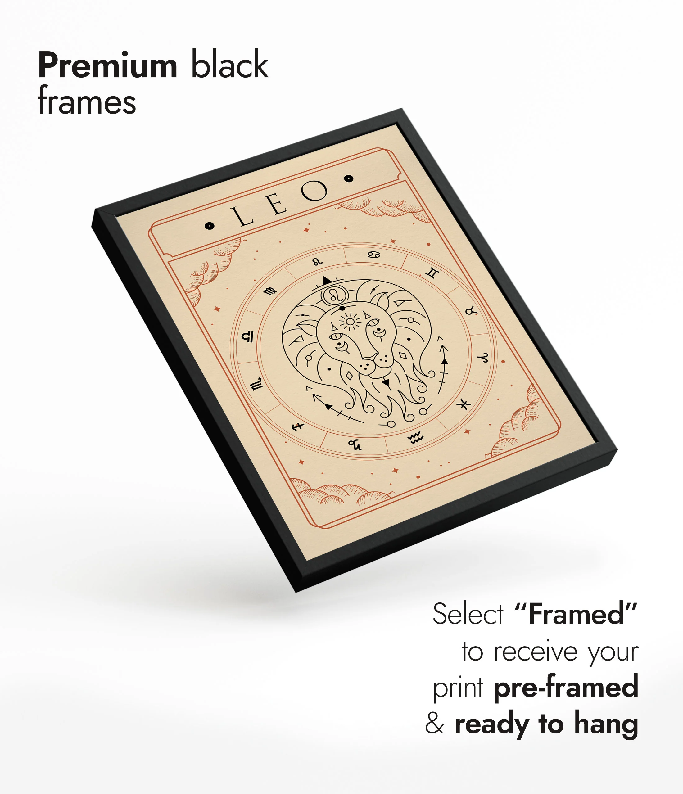 Leo - Image 7