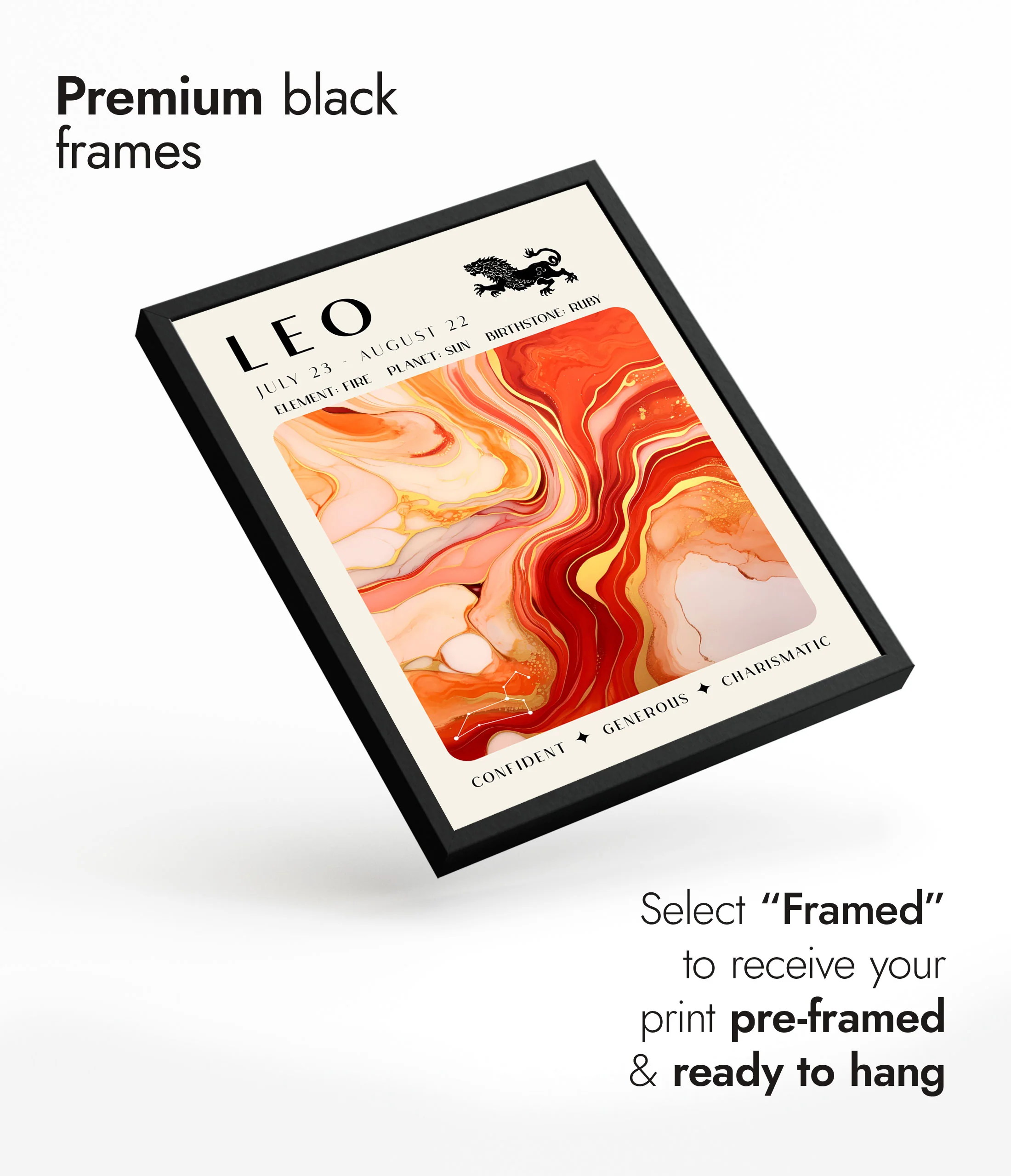 Leo - Image 7