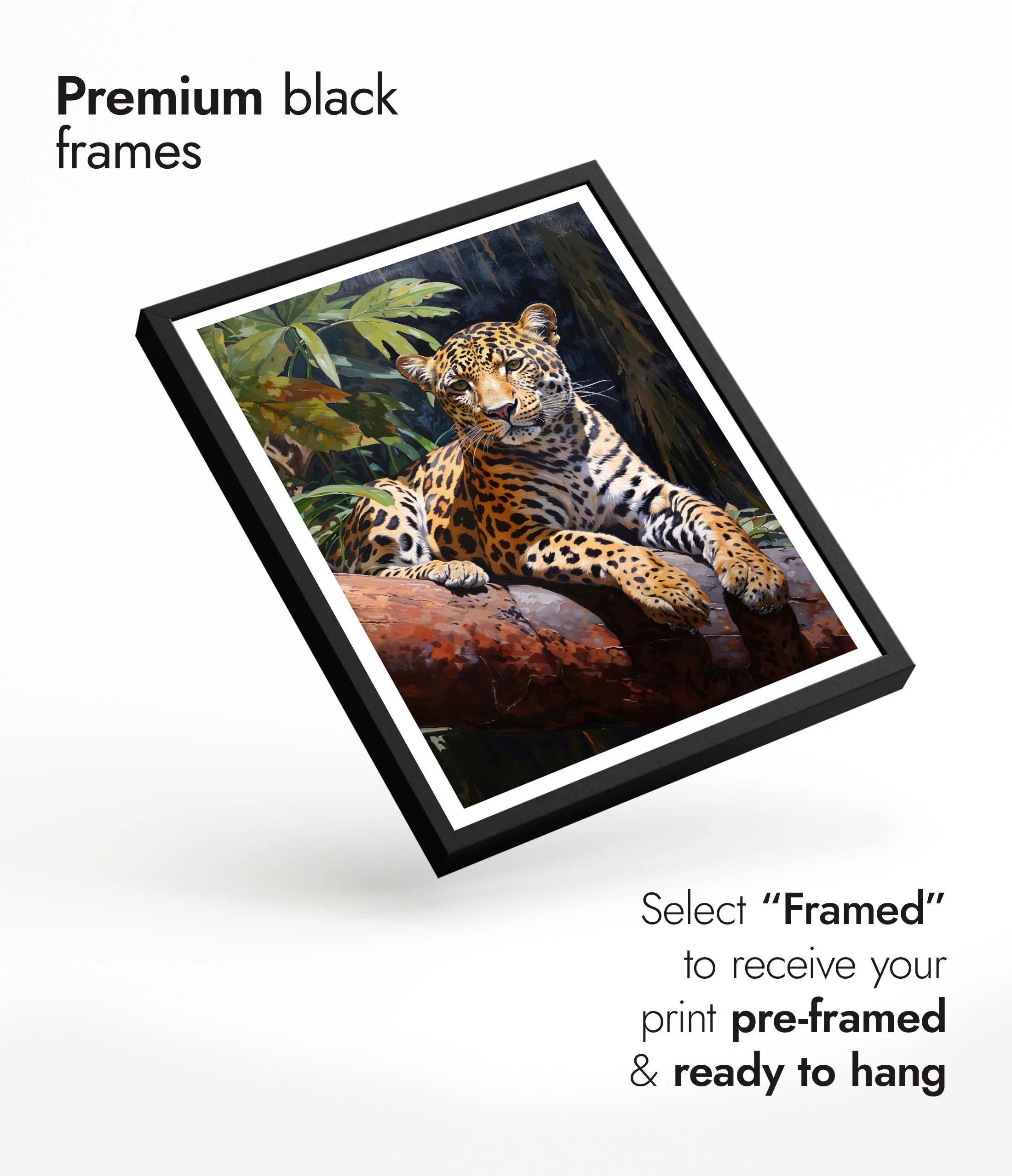 Leopard - Image 7