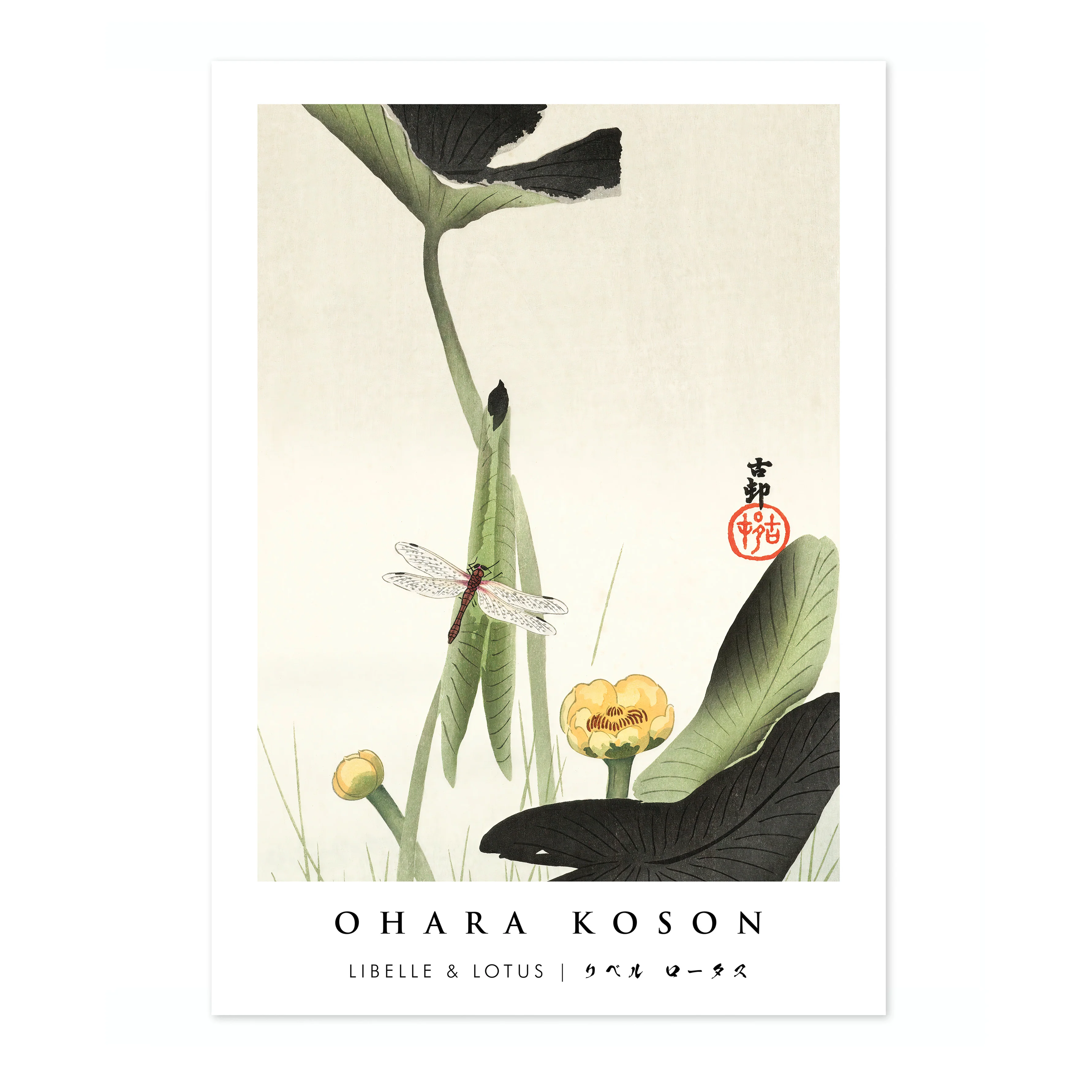 Libelle & Lotus - Image 4