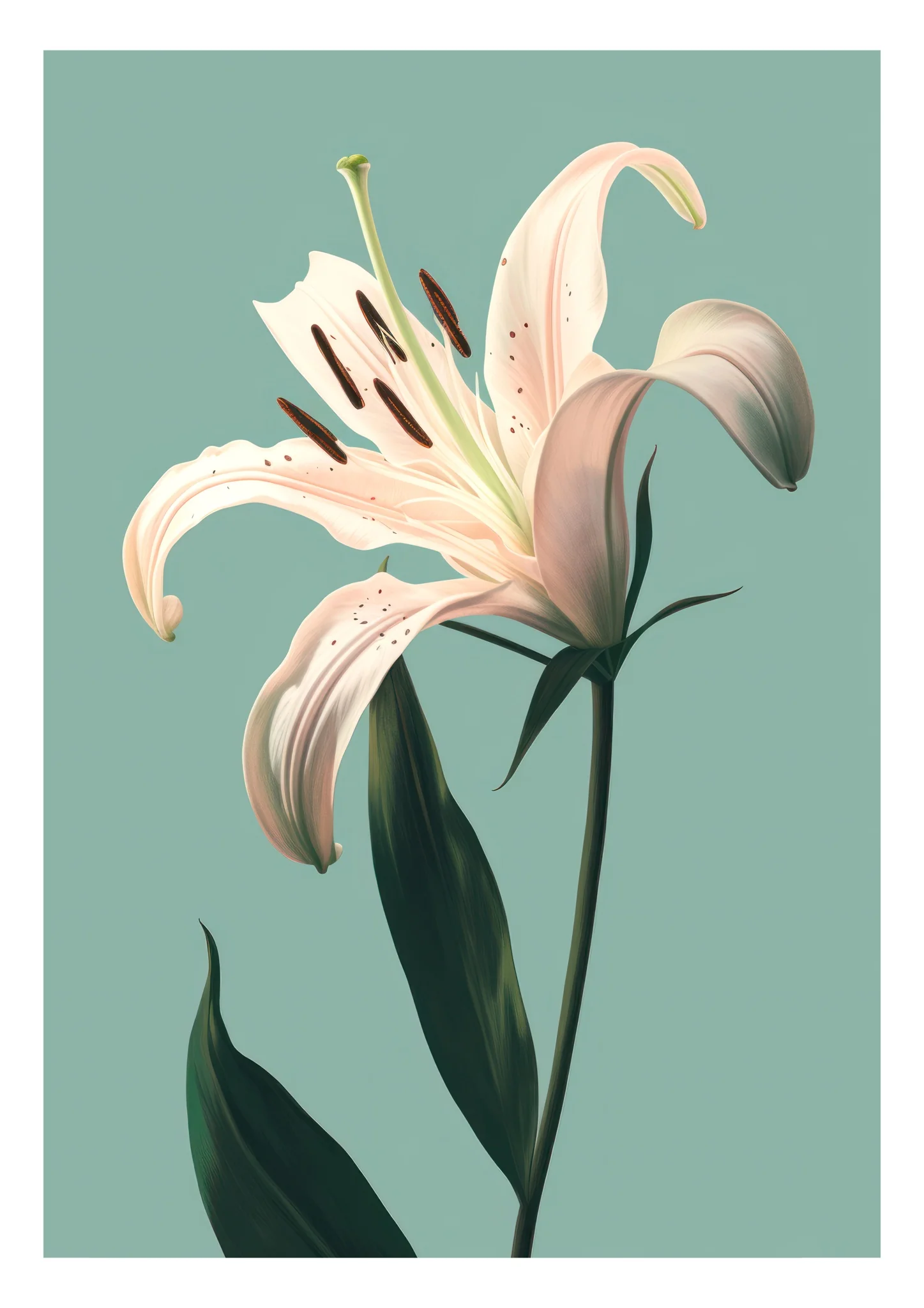 Lily