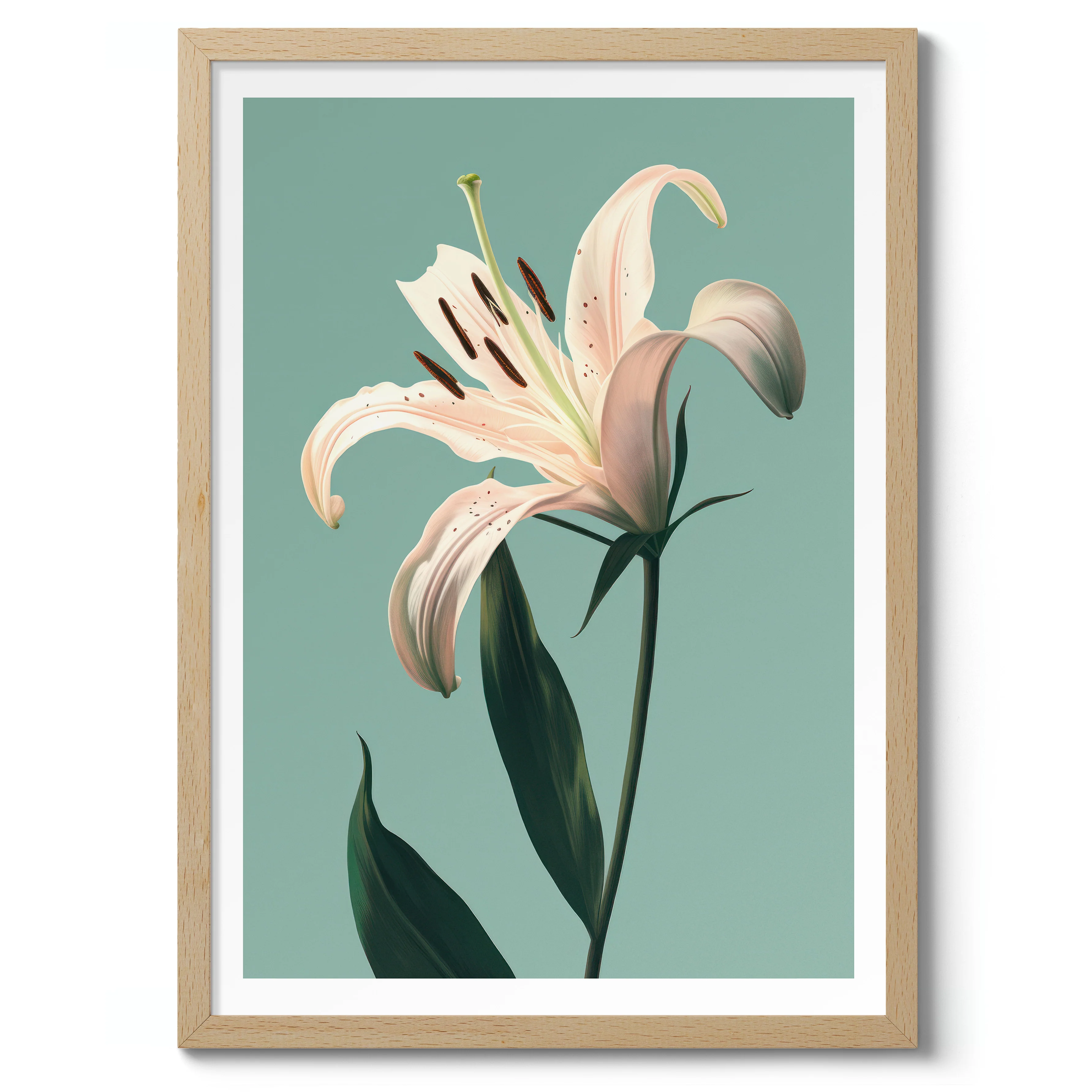 Lily - Image 3