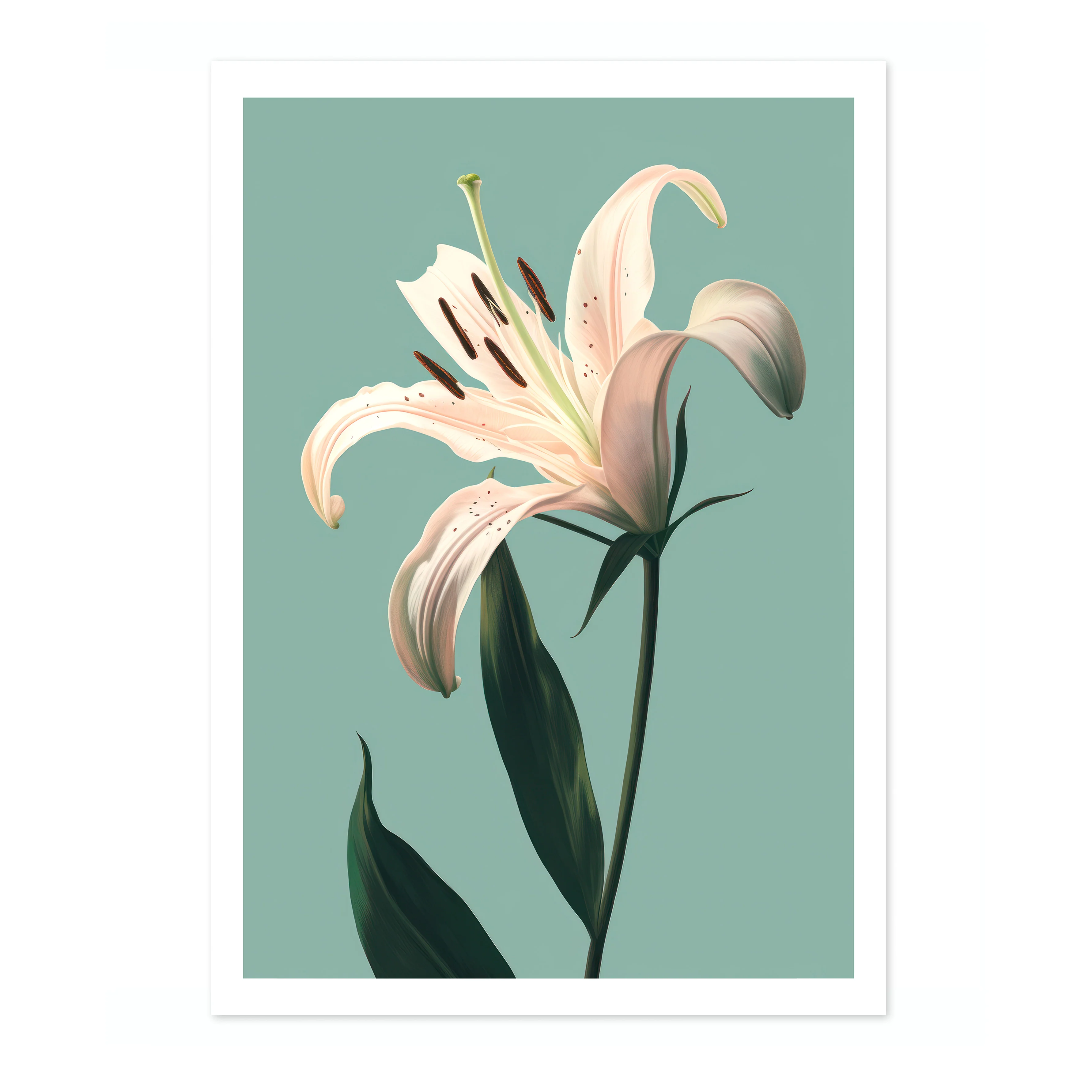 Lily - Image 4