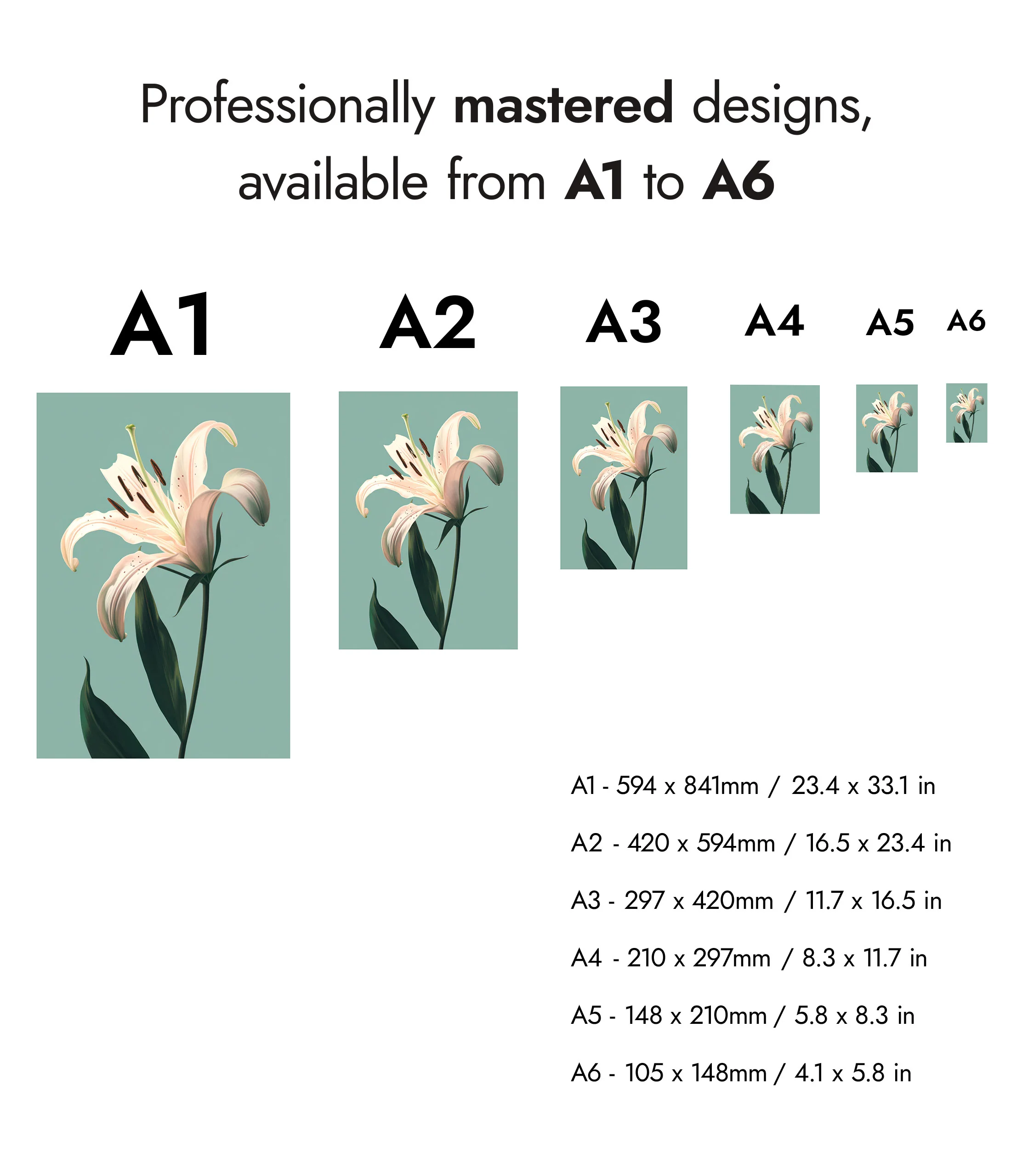 Lily - Image 8