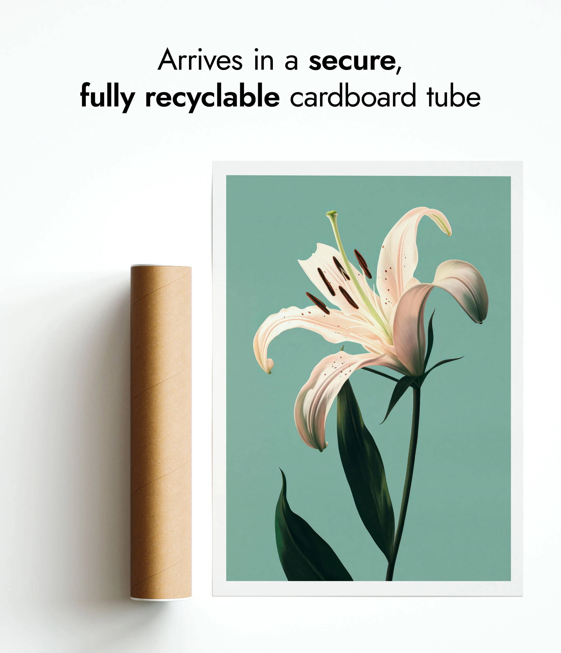 Lily - Image 9