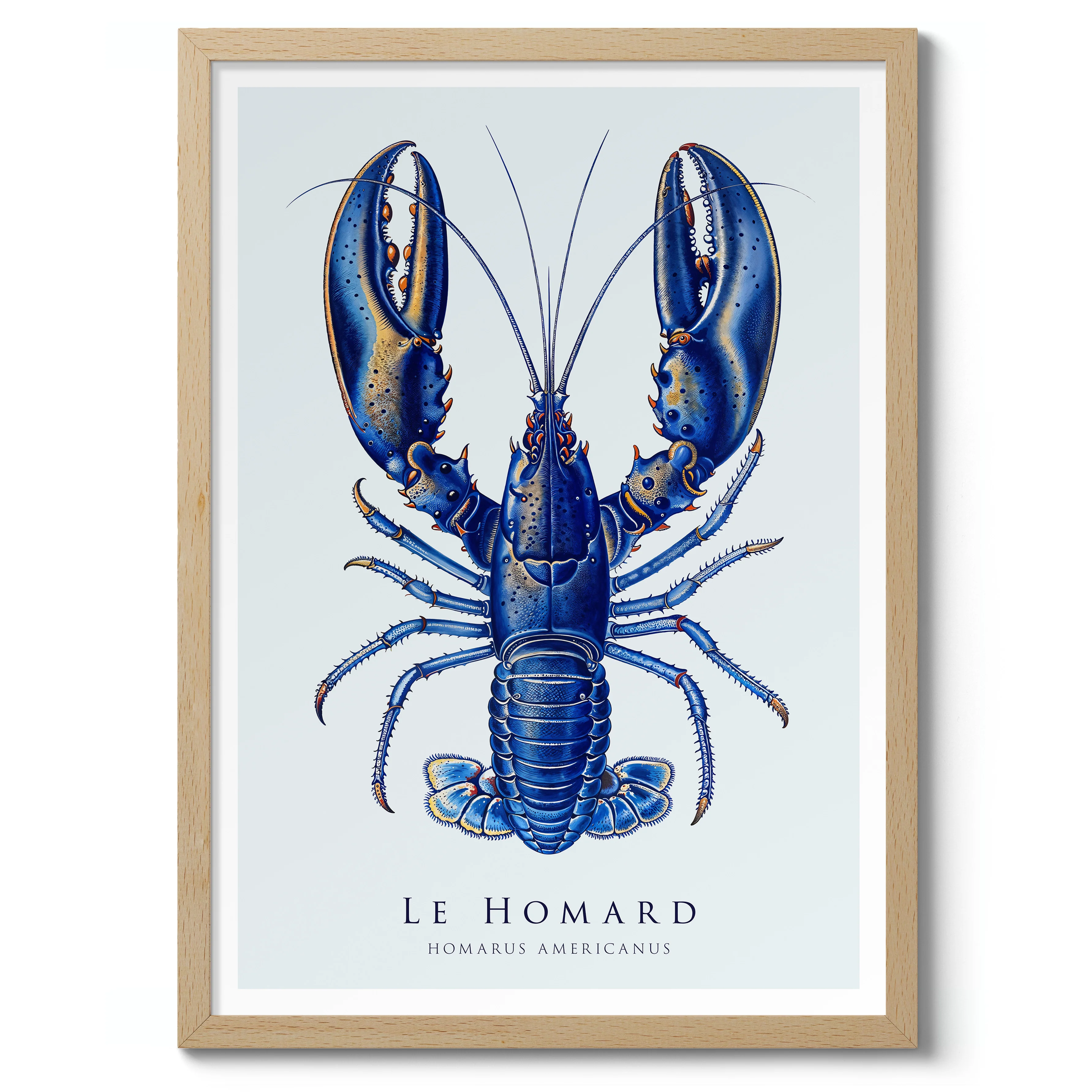 Lobster - Image 3