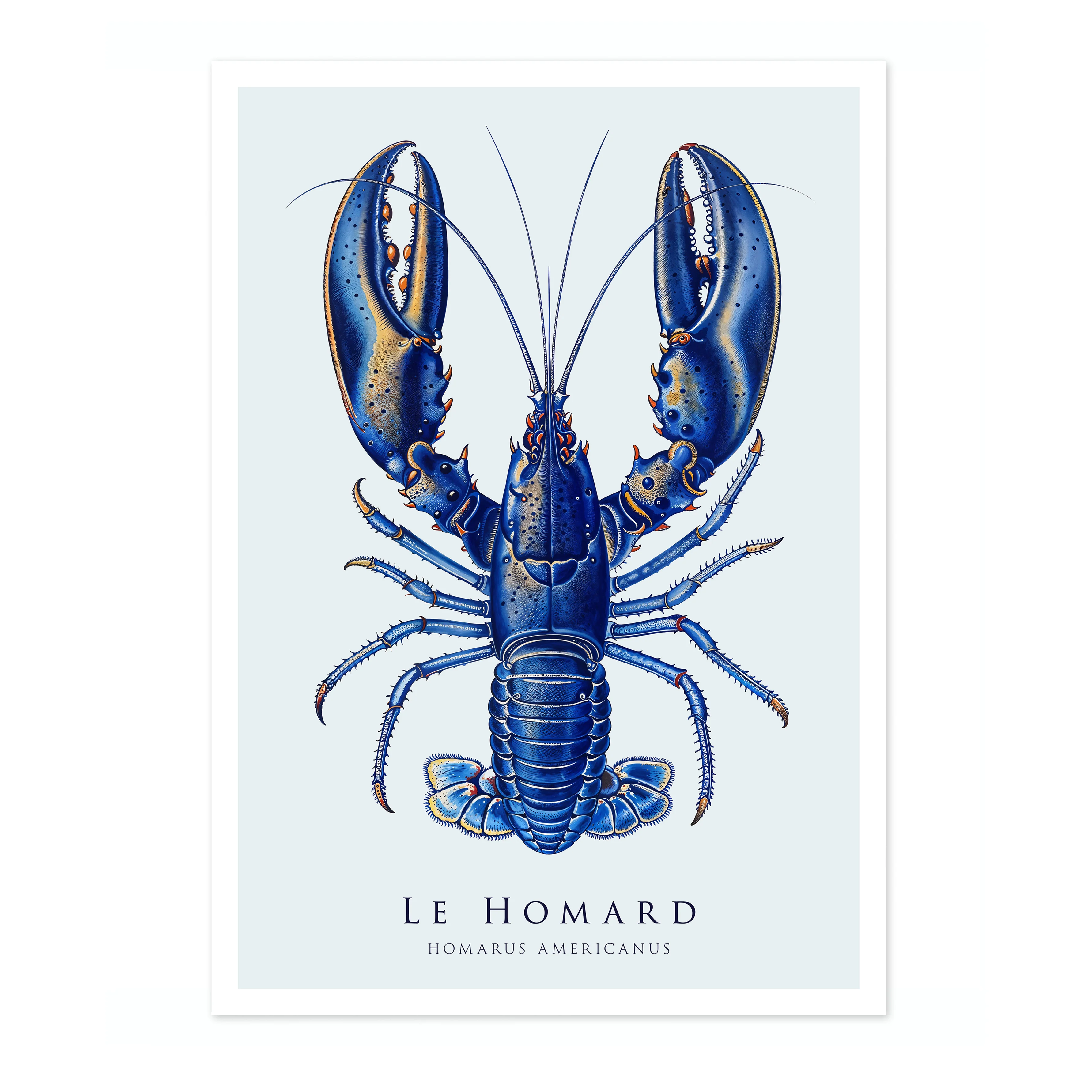 Lobster - Image 4